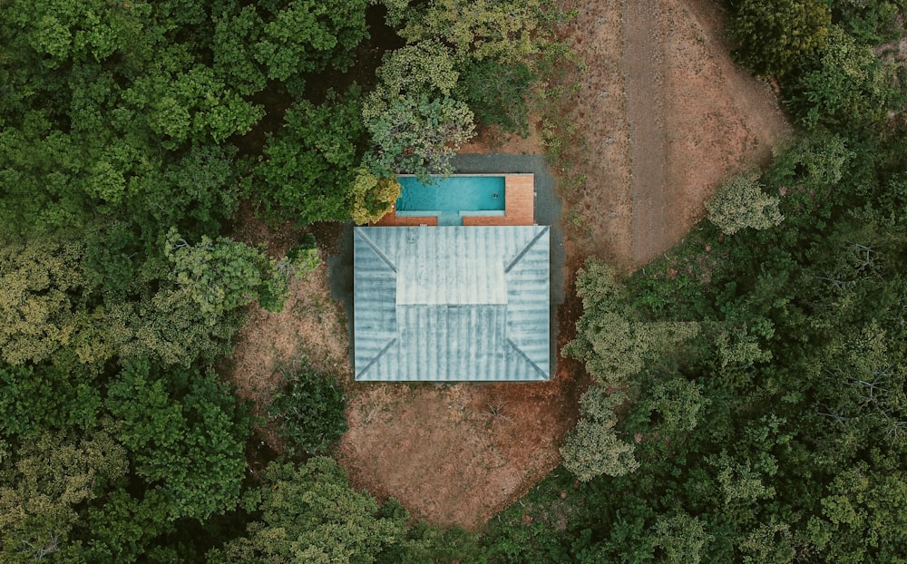 blue and white wooden house surrounded by green trees