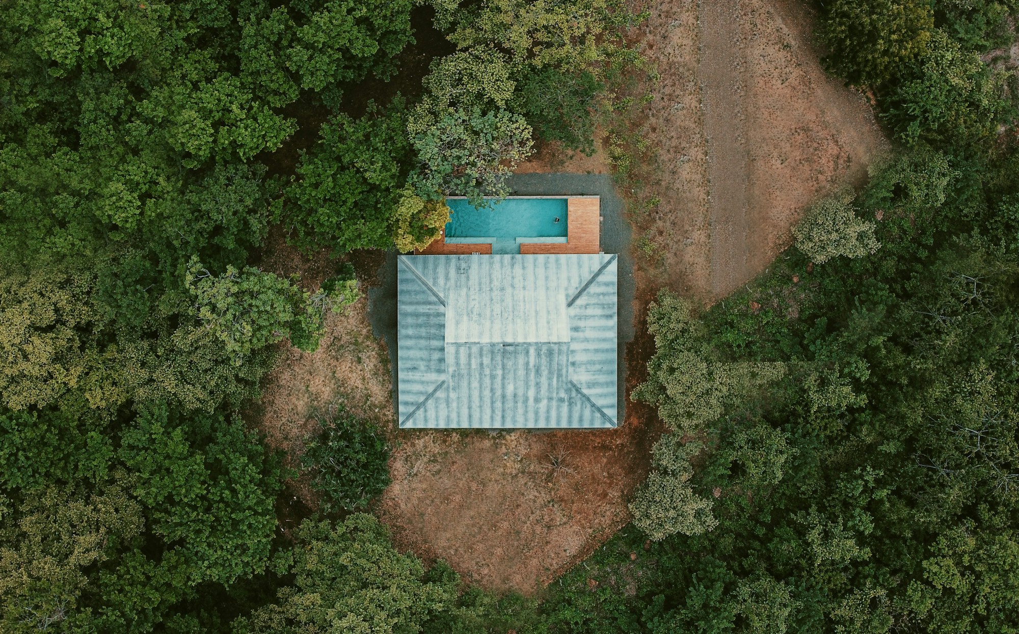 Forest House