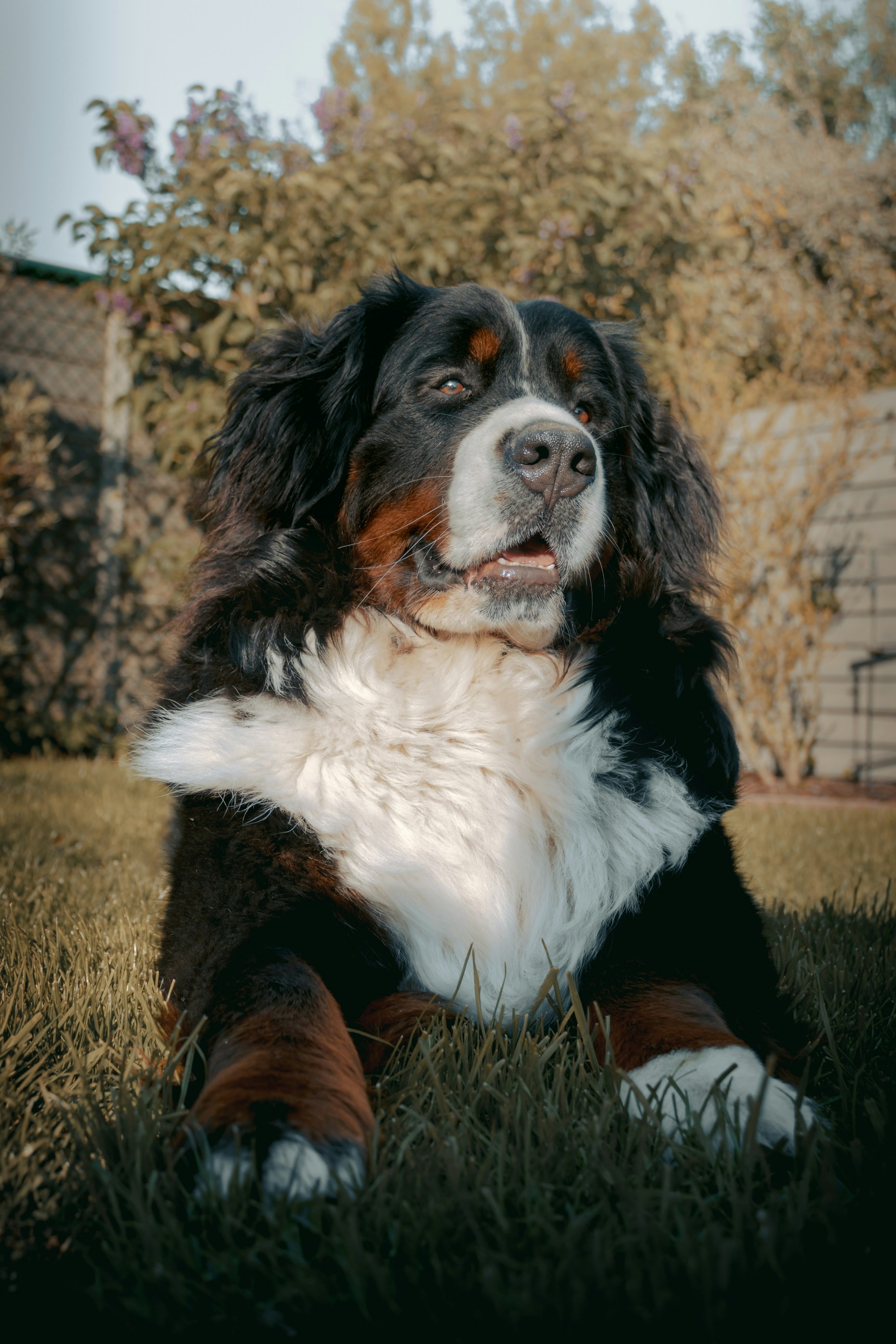 Photo by studiowattier