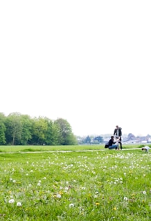 A scenic outdoor shot of students measuring environmental data in a green field.