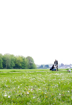 Behind-the-scenes shot of a digital marketing team planning content with farmers in a lush green field.