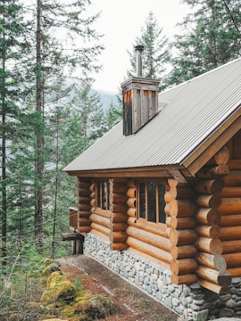 A rustic log cabin with a metal roof situated in a forested area. Surrounded by tall evergreen trees, the cabin is made of stacked logs with visible wood grain and rounded edges. The base of the cabin features stonework, and there is a small chimney protruding from the roof. The surroundings include a moss-covered ground and a dirt path leading away from the cabin.