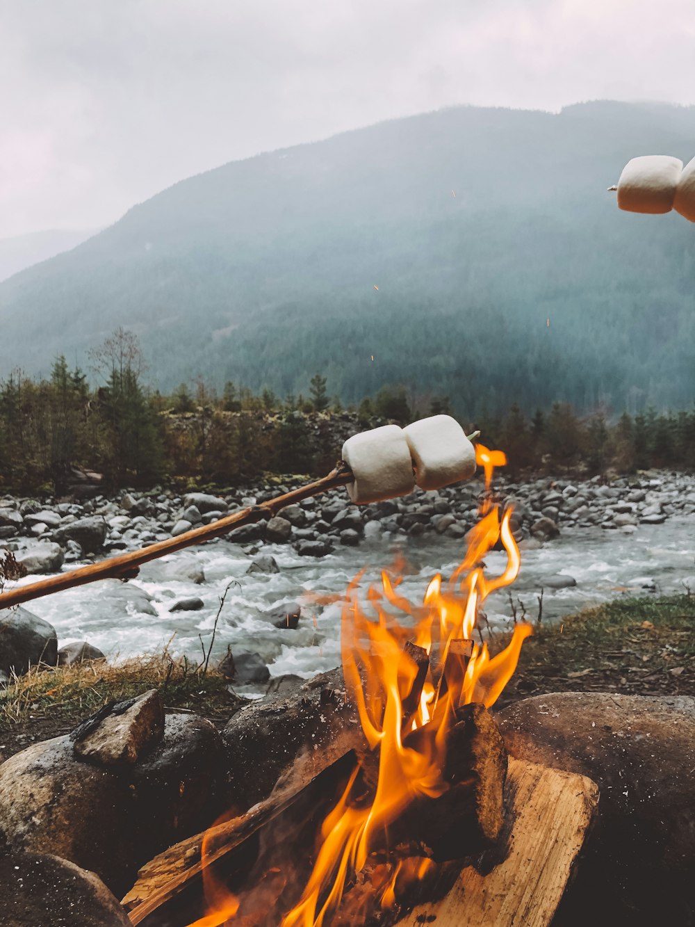 fire on brown wood log