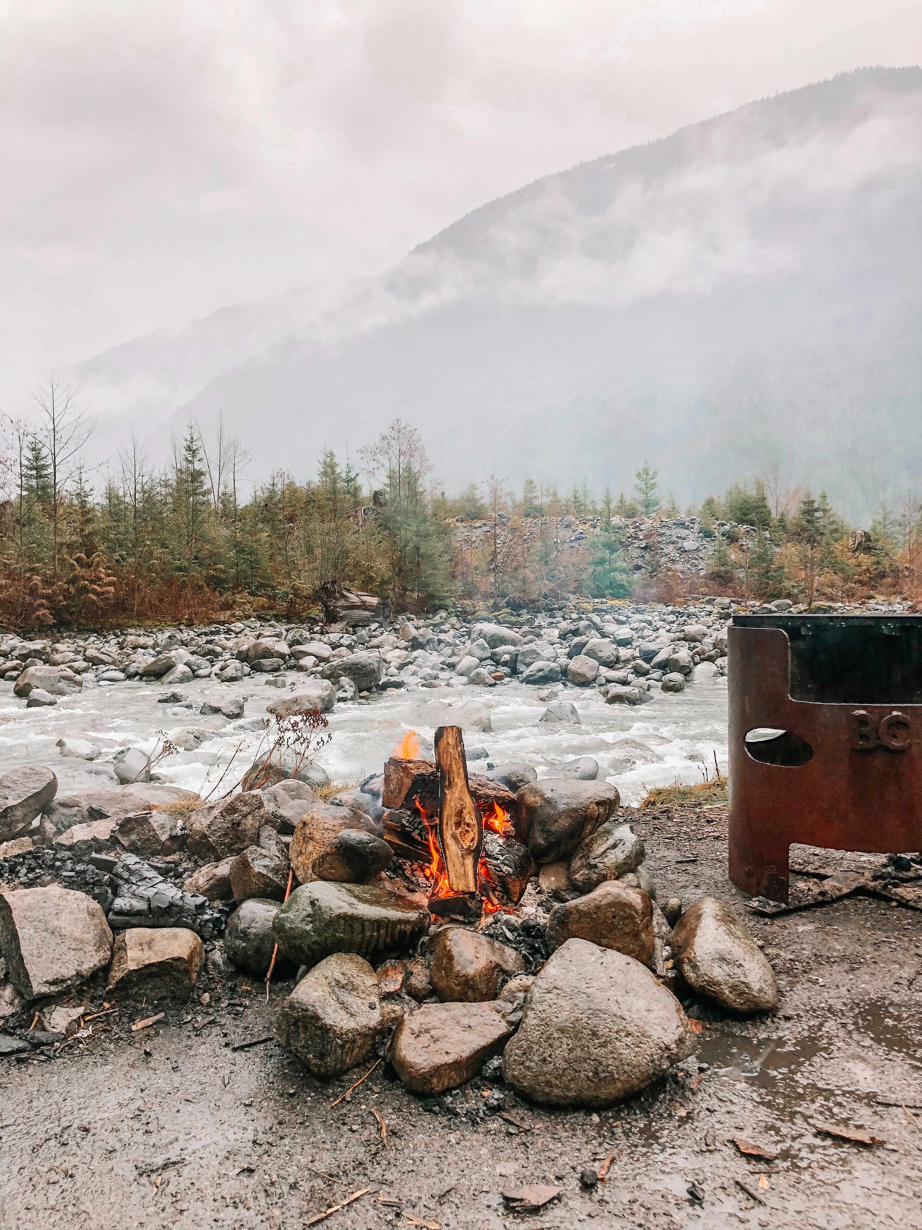 brown fire wood on gray rocks near green trees during daytime