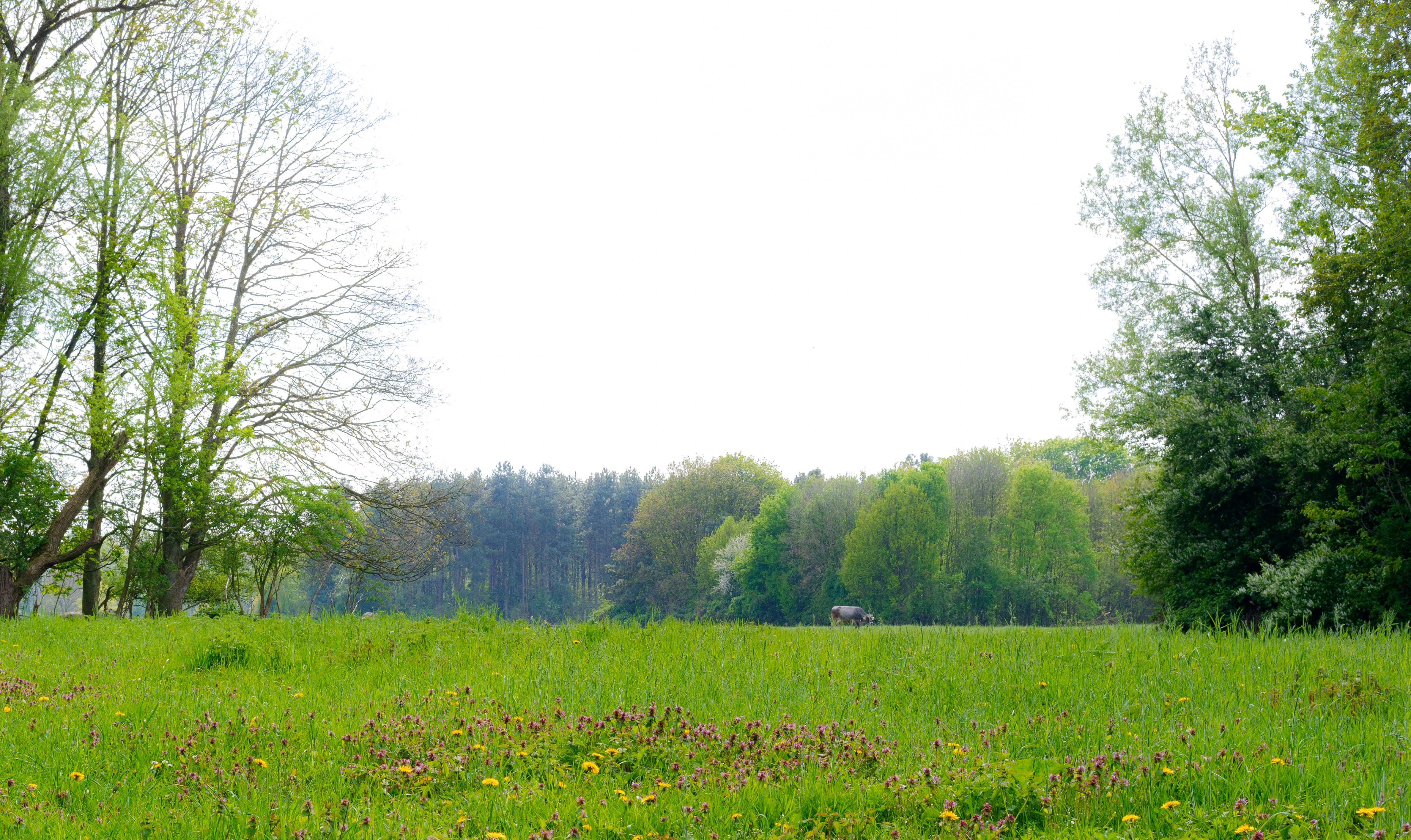 Photo by kevinmartinjose