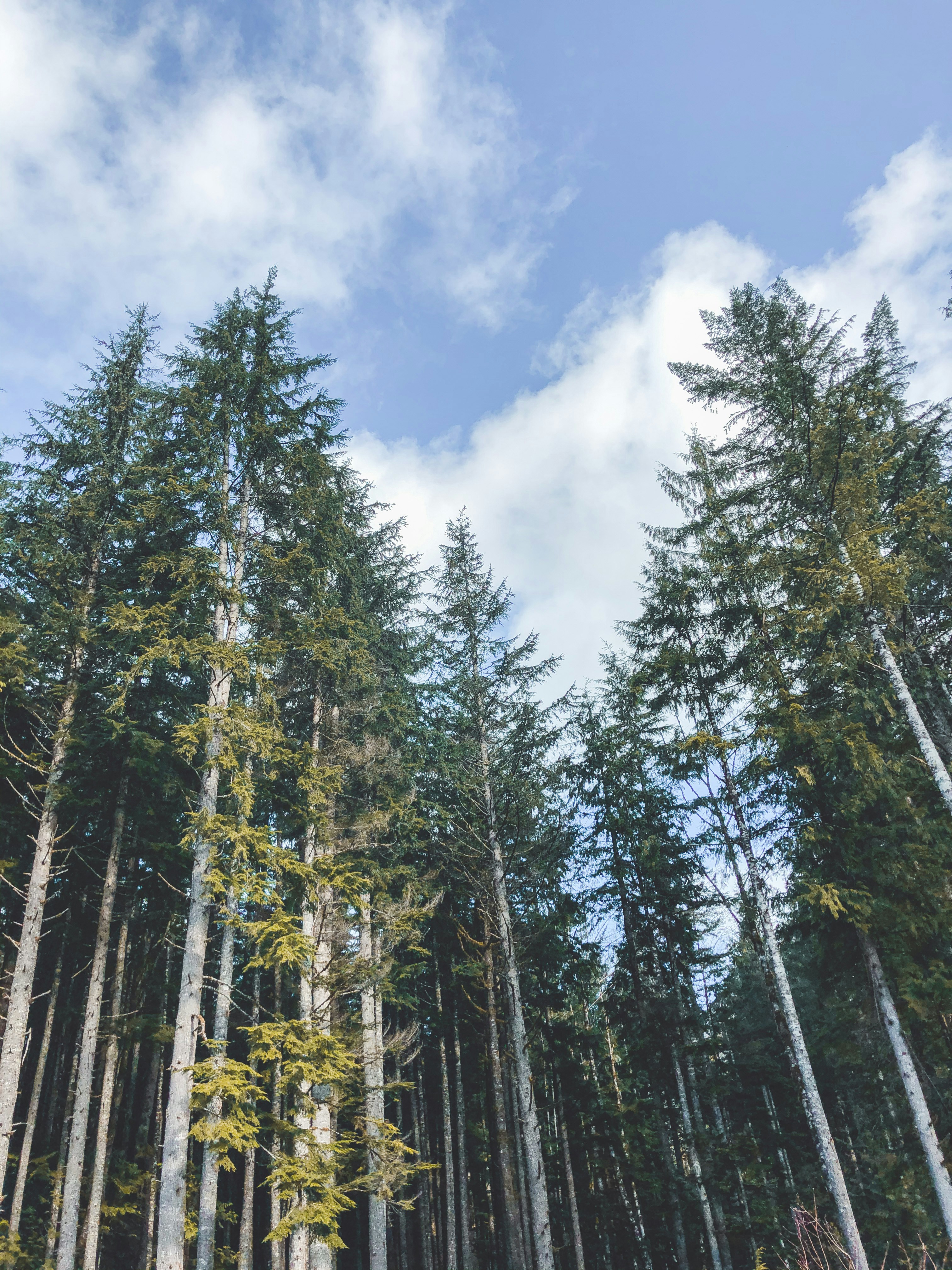 Photo by daviesalice