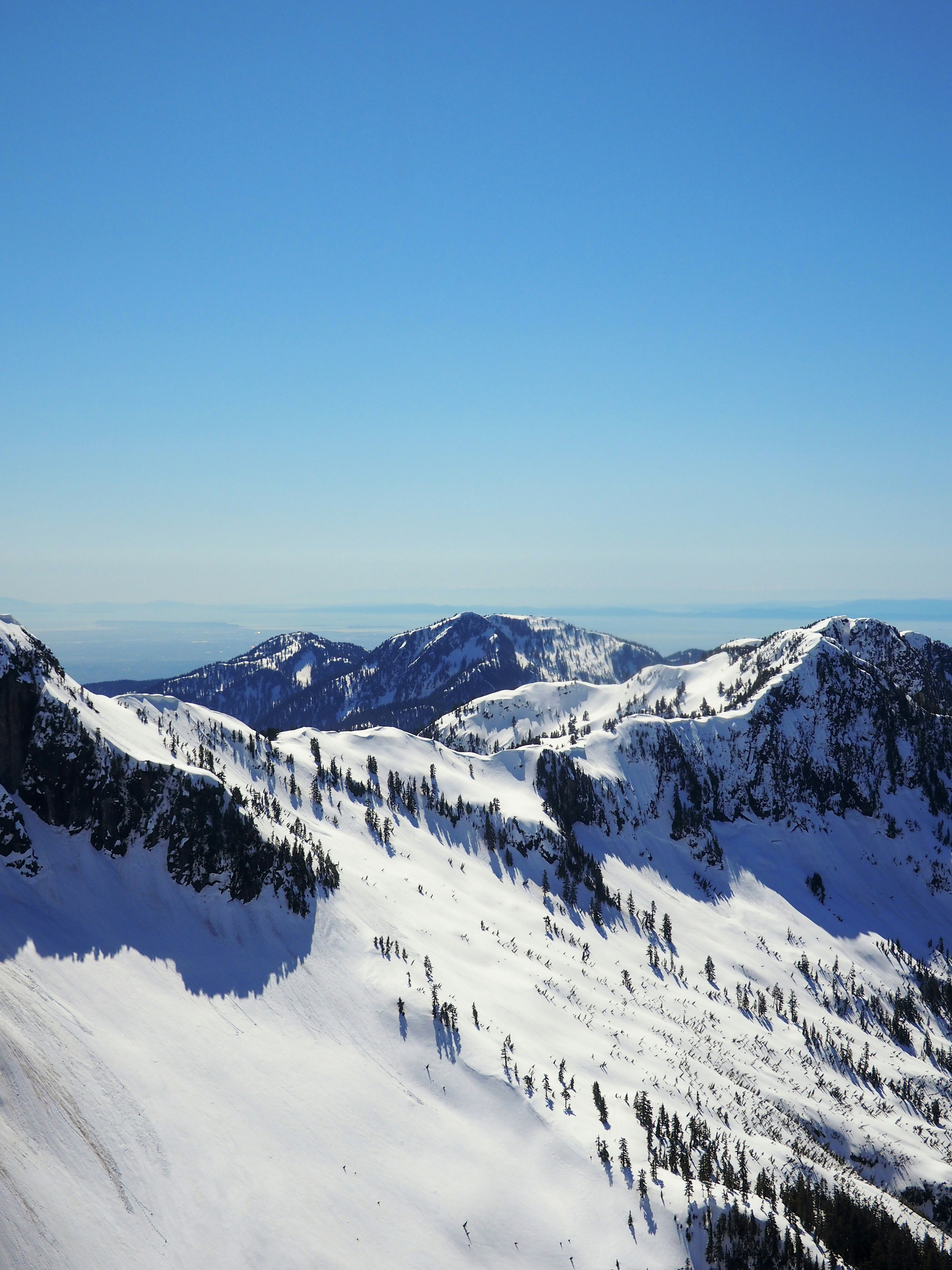 Photo by daviesalice