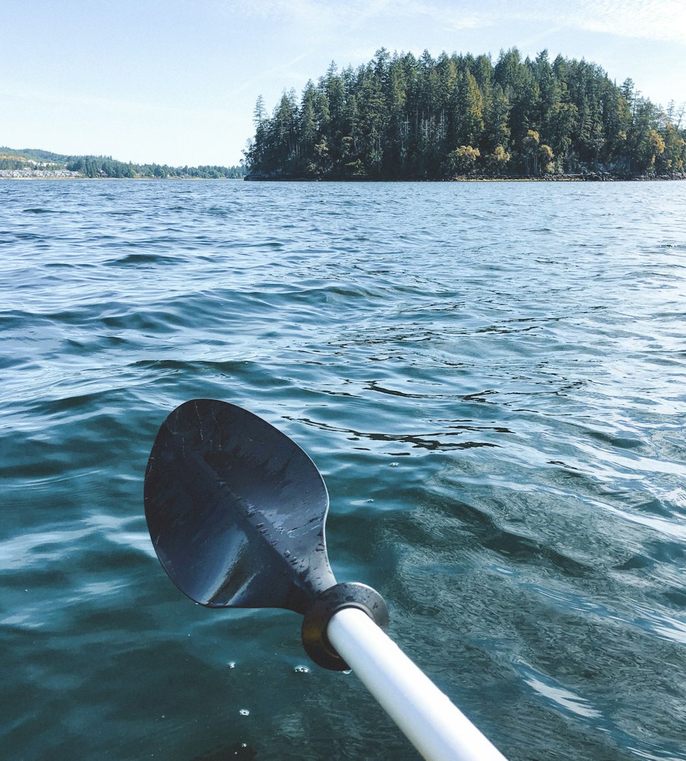vara de pesca branca e preta no corpo de água durante o dia