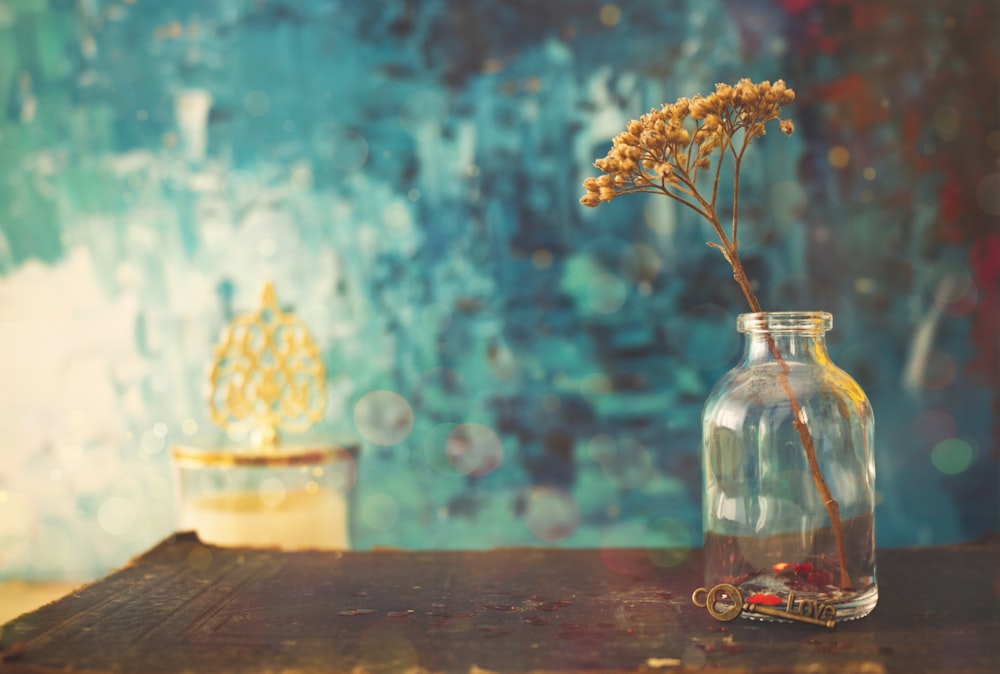 white flowers in clear glass jar