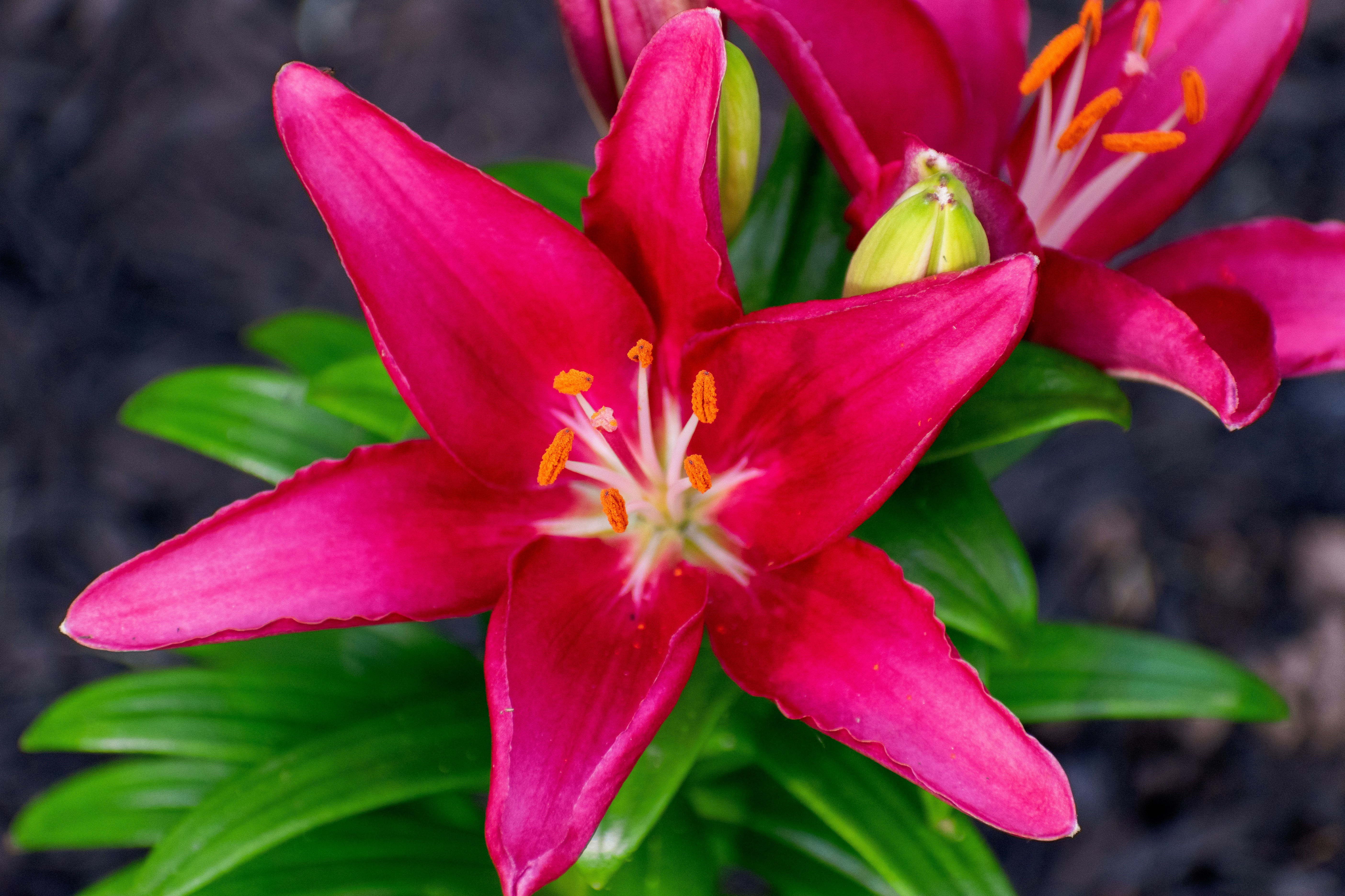 Photo by christopherphigh