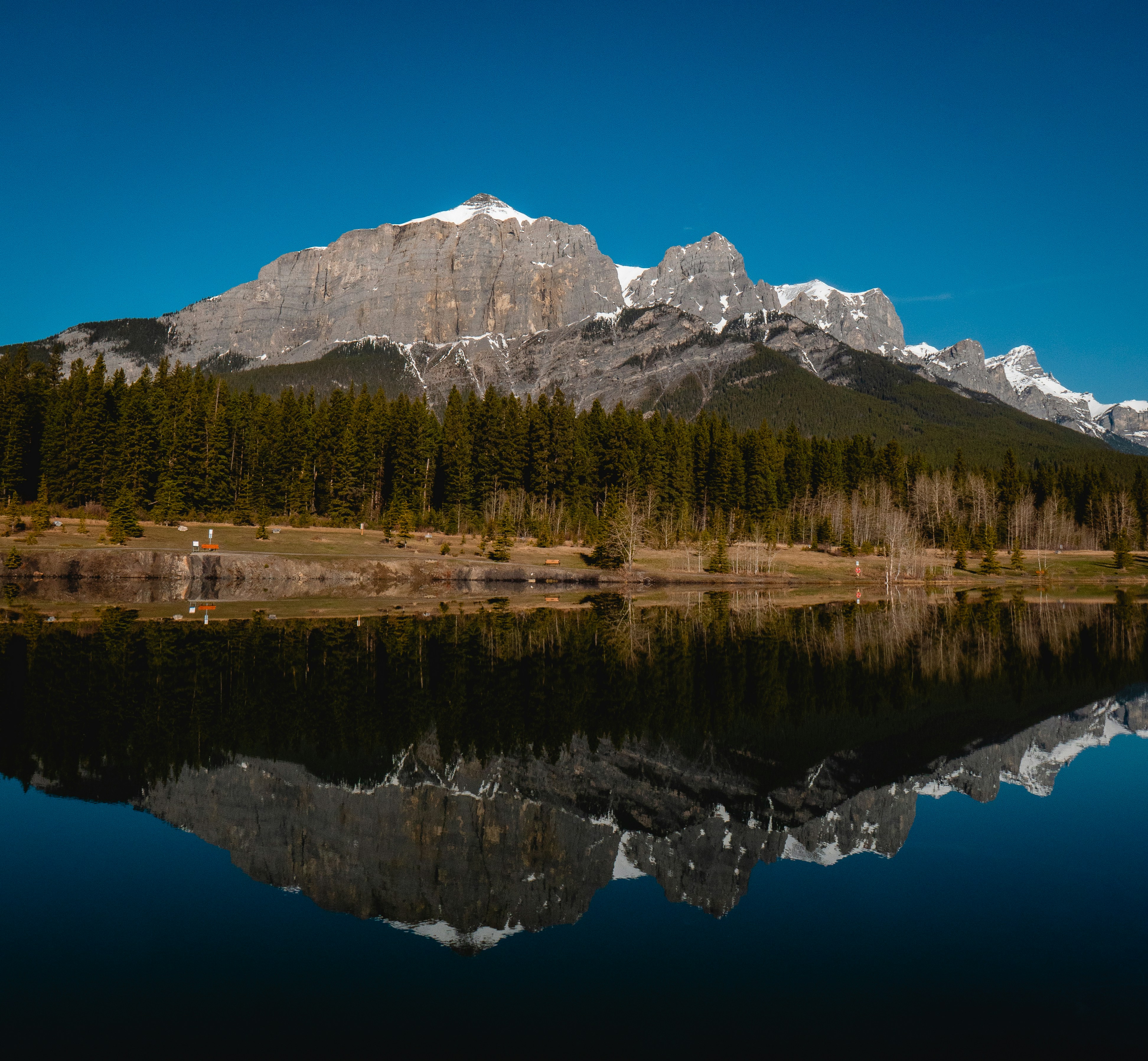 Photo by thelifeofdev