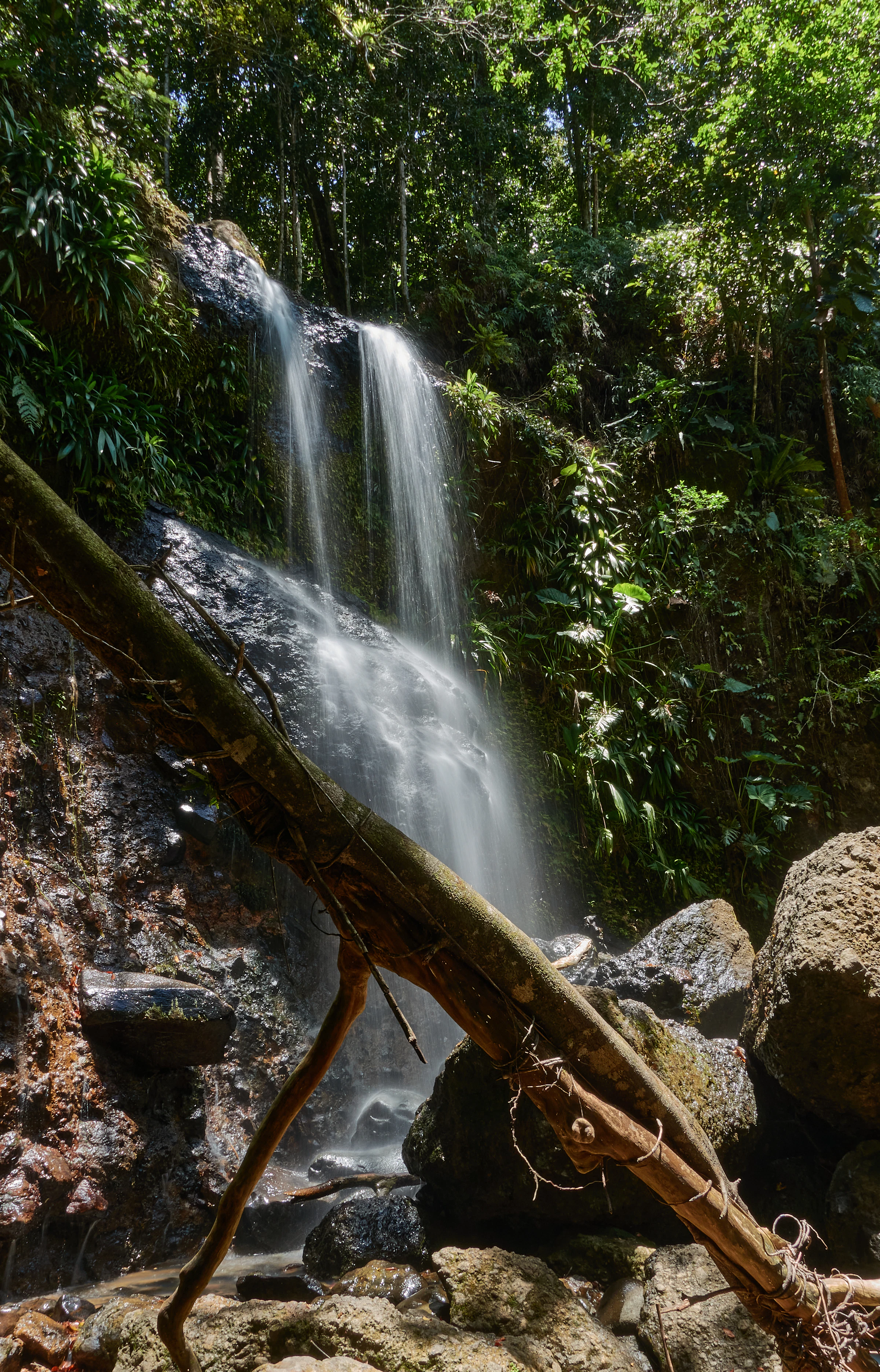 Cascade de la rivière Moustique au cœur de la forêt tropicale de Basse-Terre, Guadeloupe