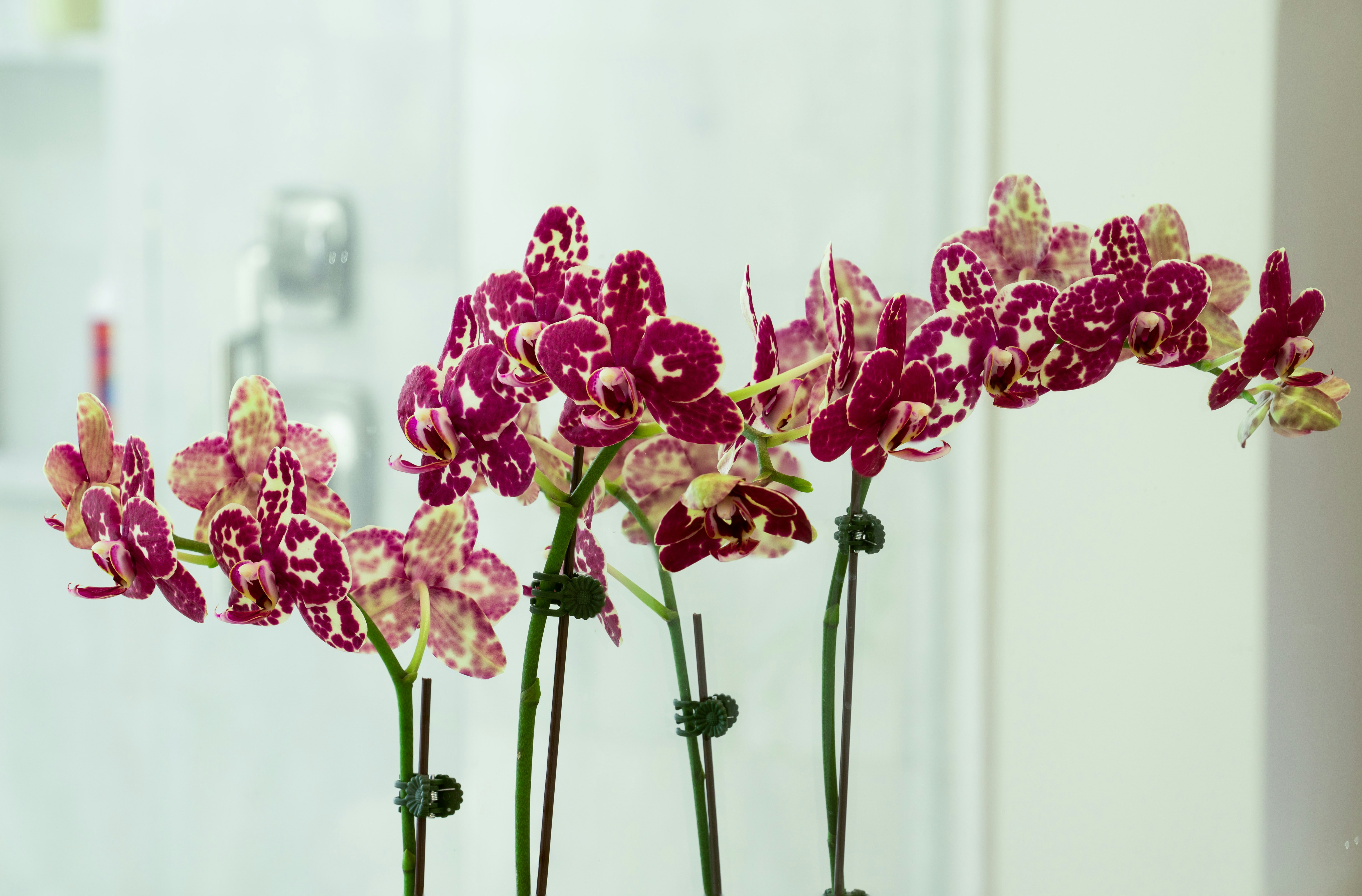 Photo by earl_plannerzone