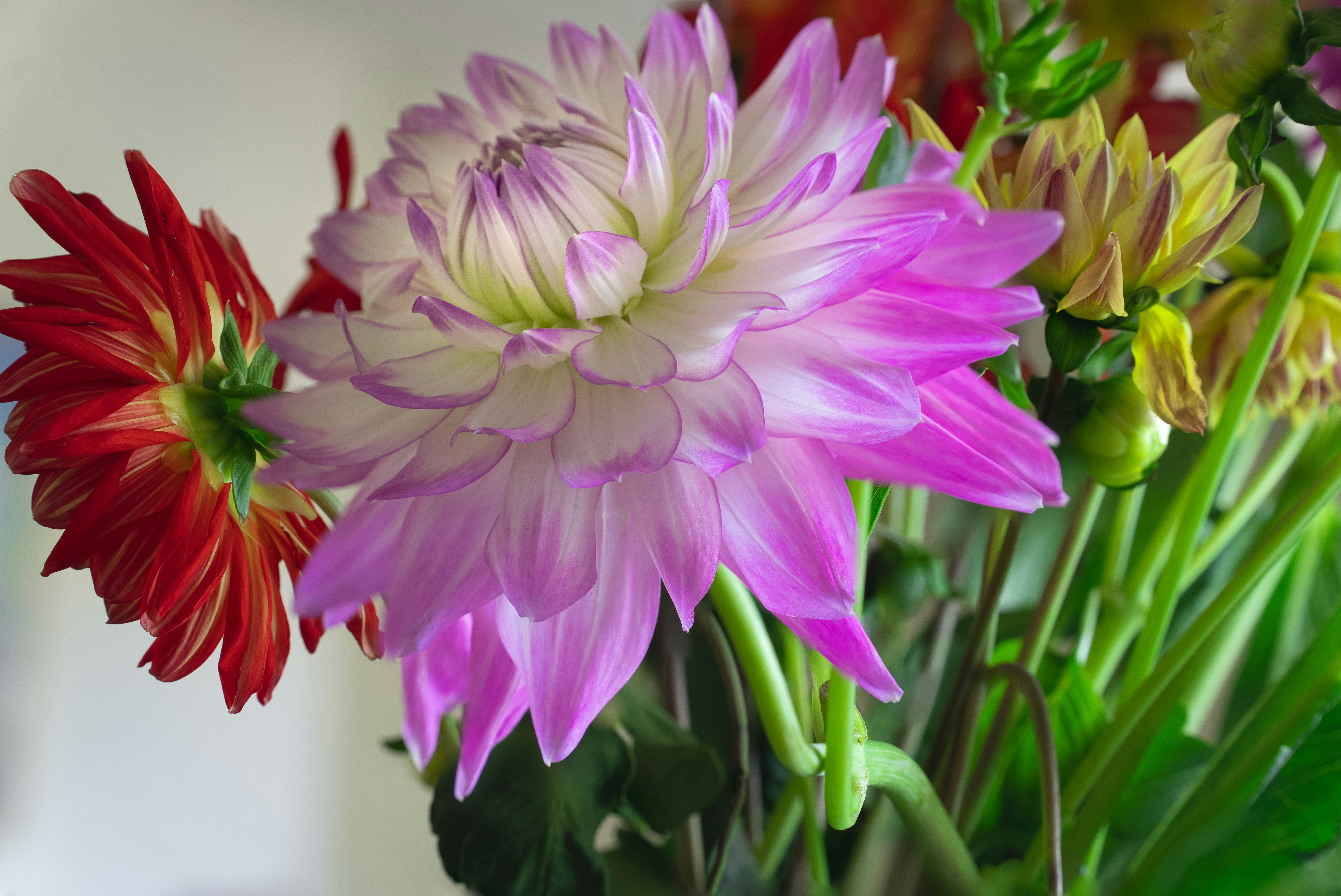 Photo by earl_plannerzone