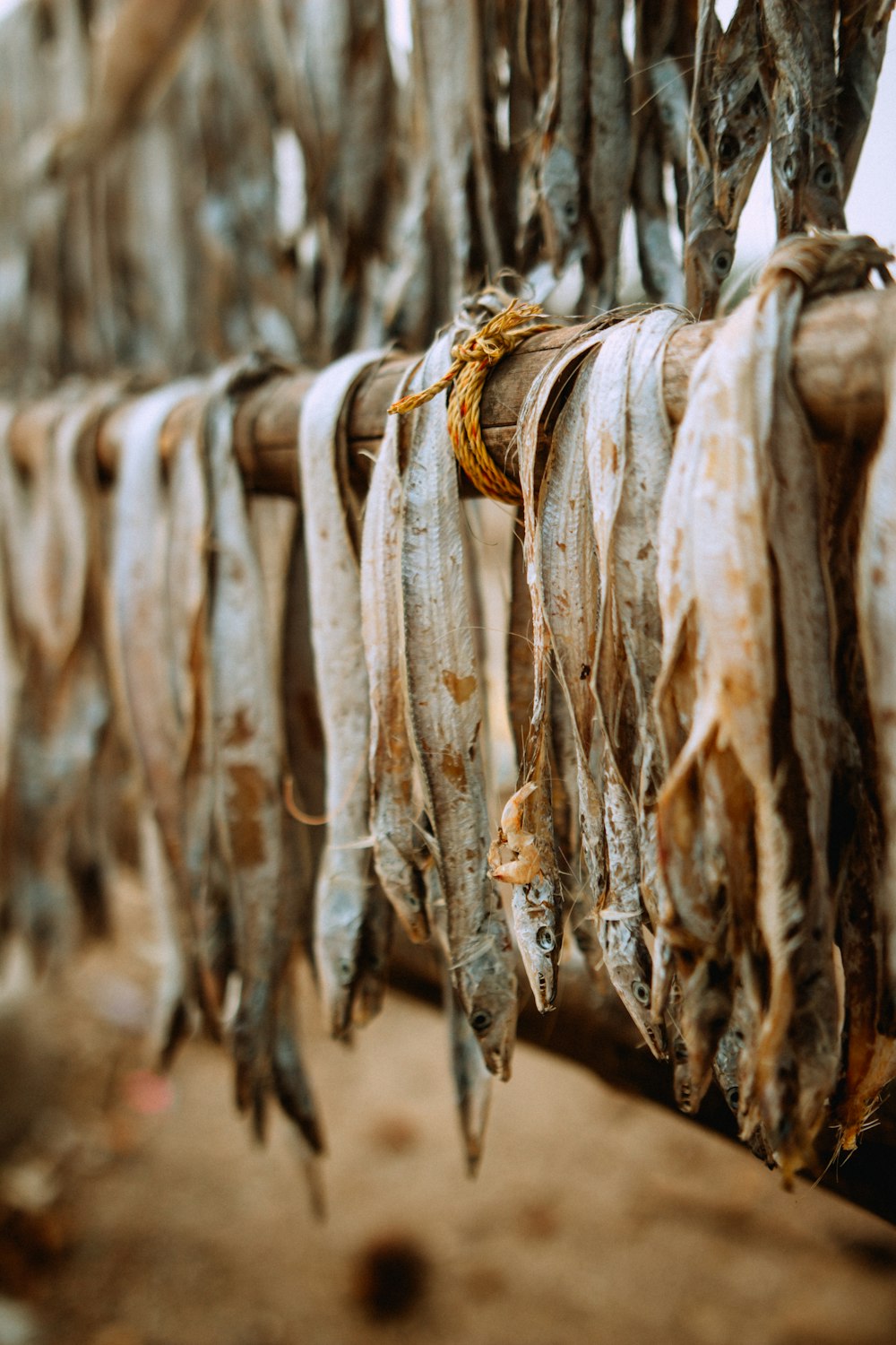 brown and white rope on brown wooden fence