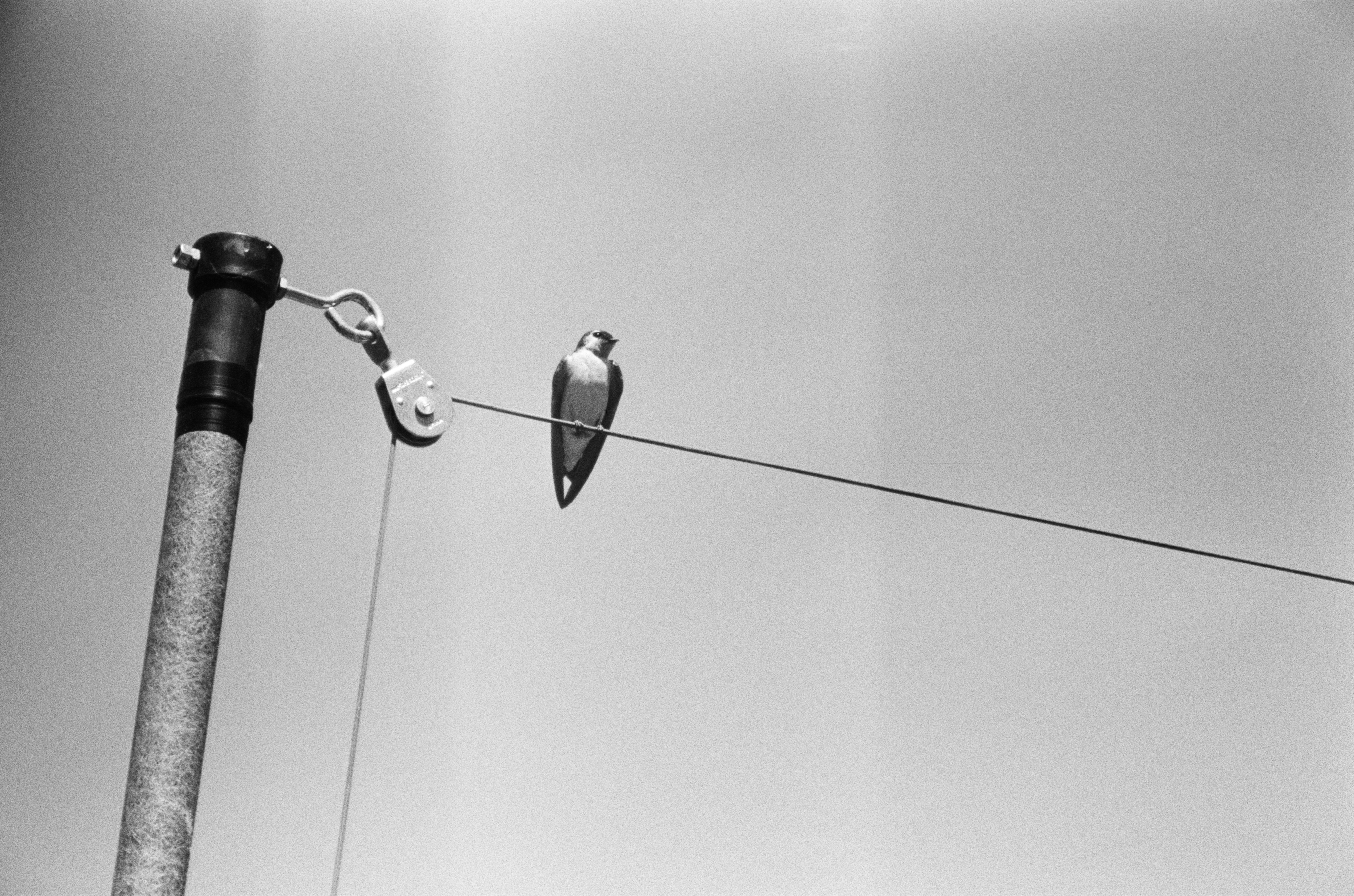 black and silver floor lamp