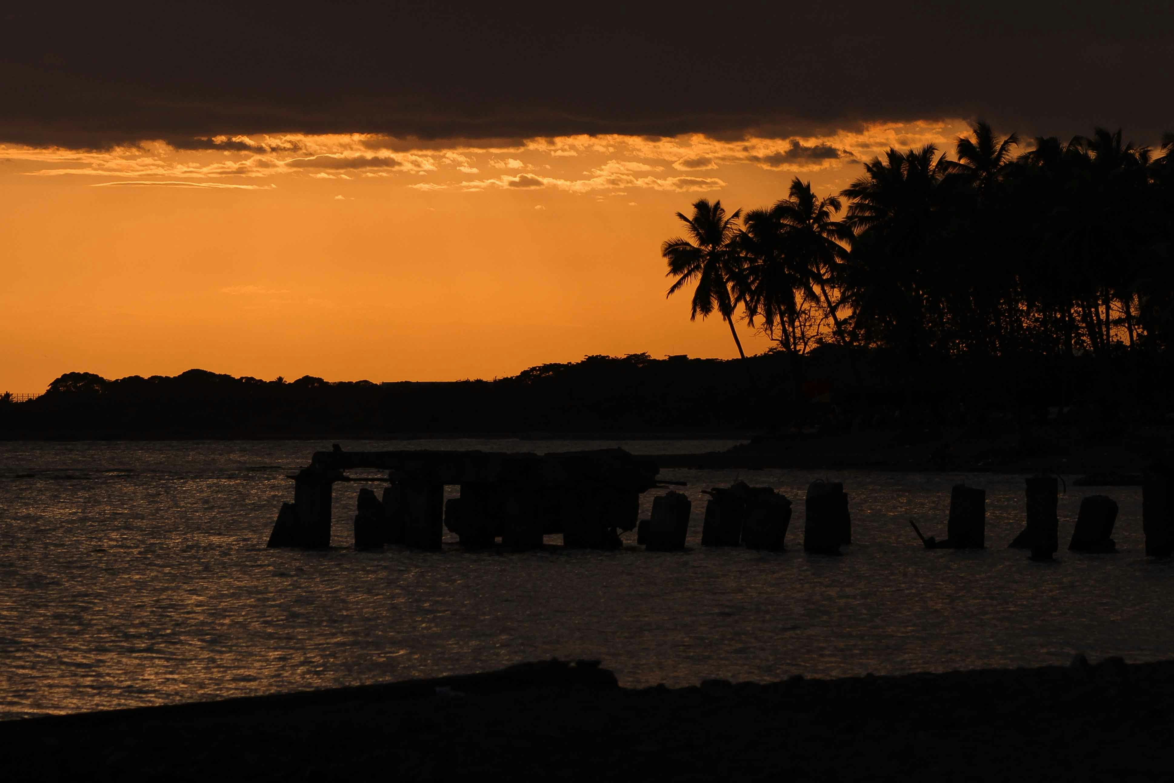 Parque Palmar de Ocoa