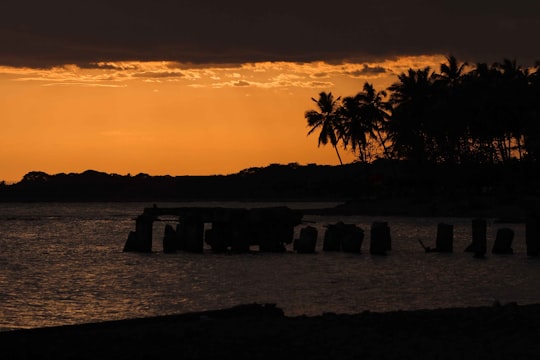 silhouette of palm trees near body of water during sunset in Palmar de Ocoa Dominican Republic