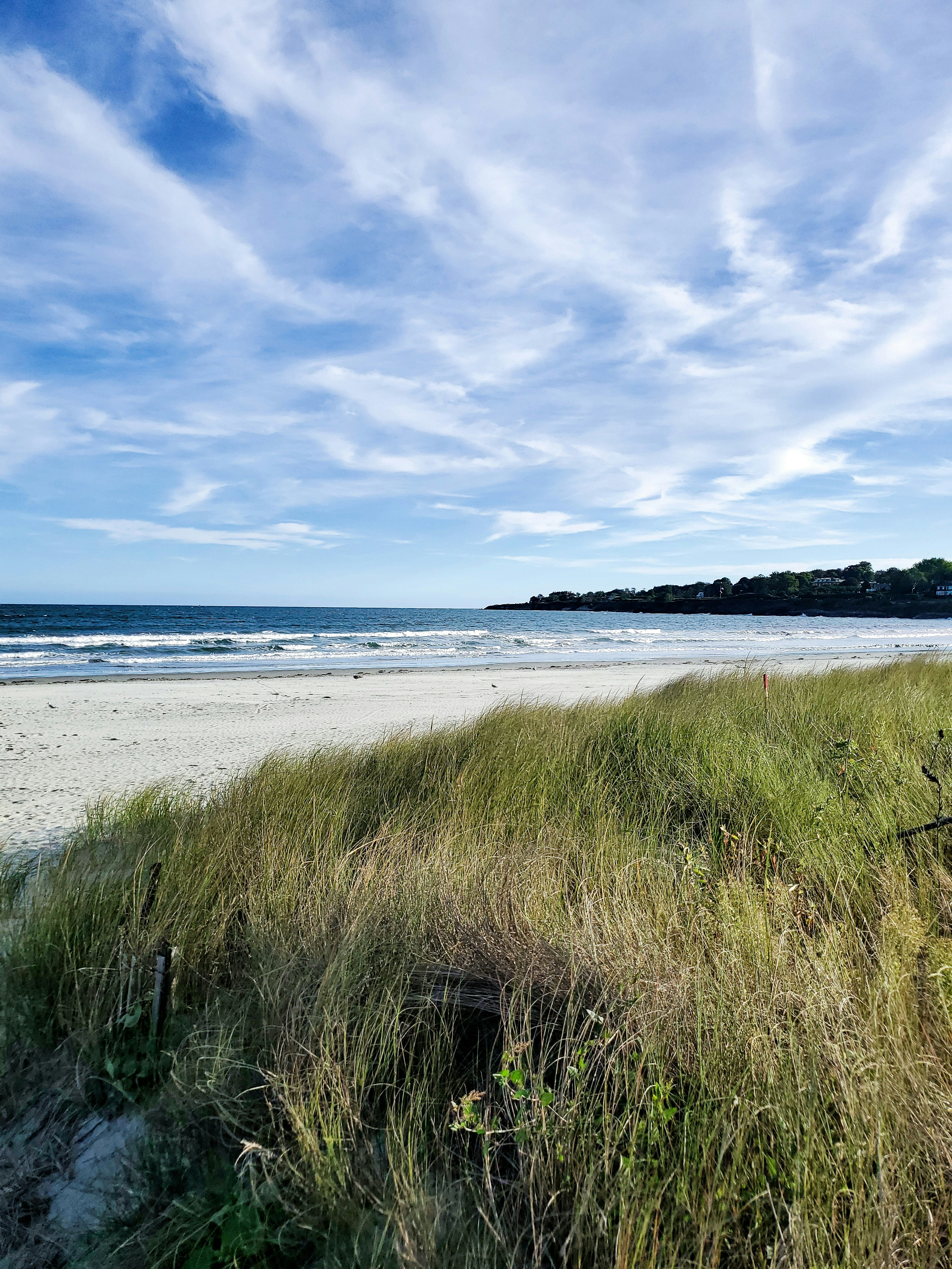 Photo by contrasting_waves