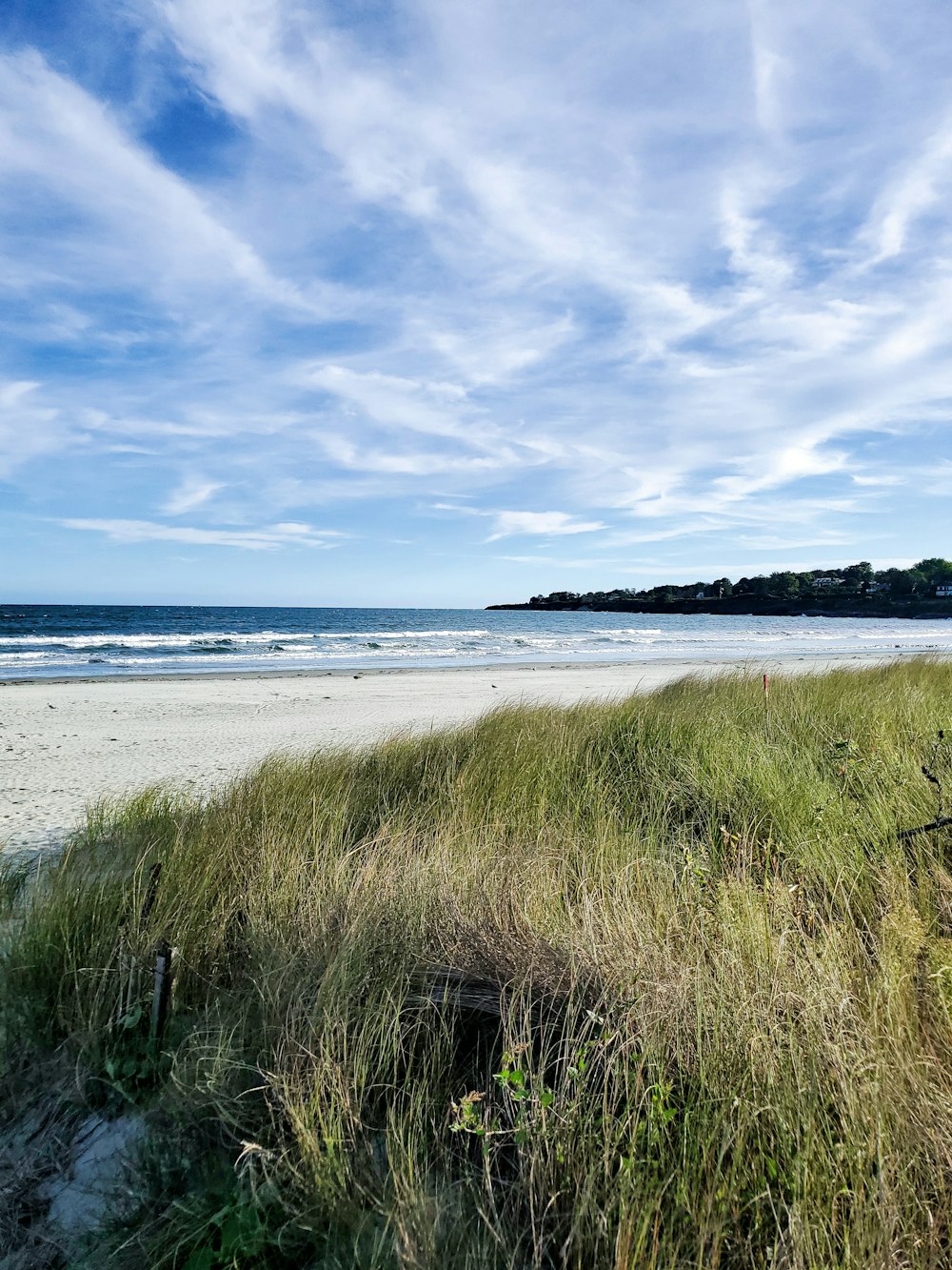 green grass near body of water under white clouds and blue sky during daytime