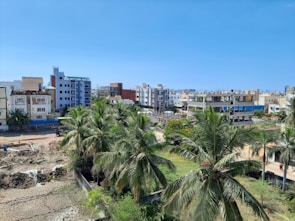 A cityscape features a cluster of medium-height residential buildings in varying colors under a clear blue sky. In the foreground, a line of tall green palm trees adds a touch of nature to the scene. A dirt area with construction materials and equipment is visible, suggesting ongoing development.