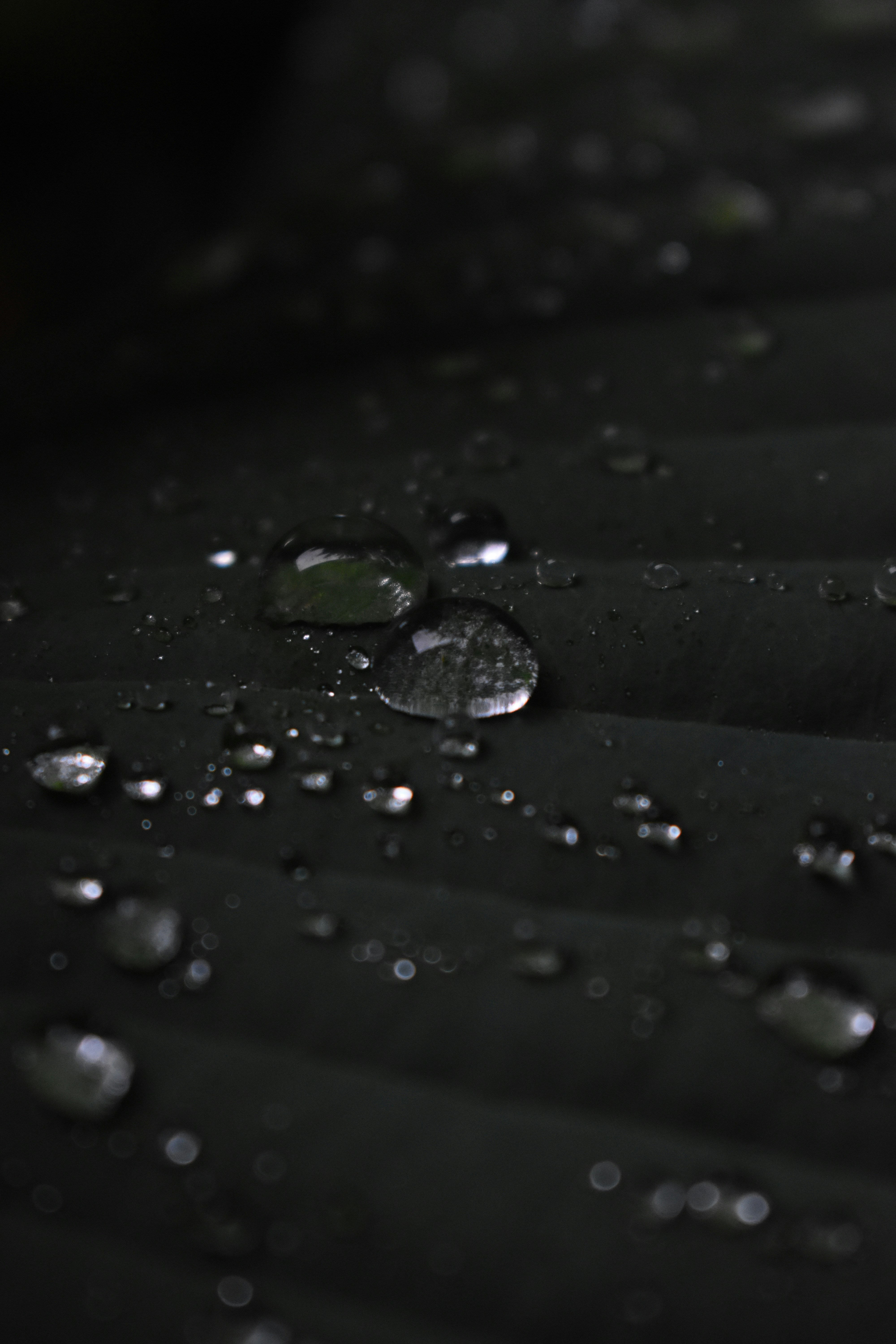 Photo by pictures102