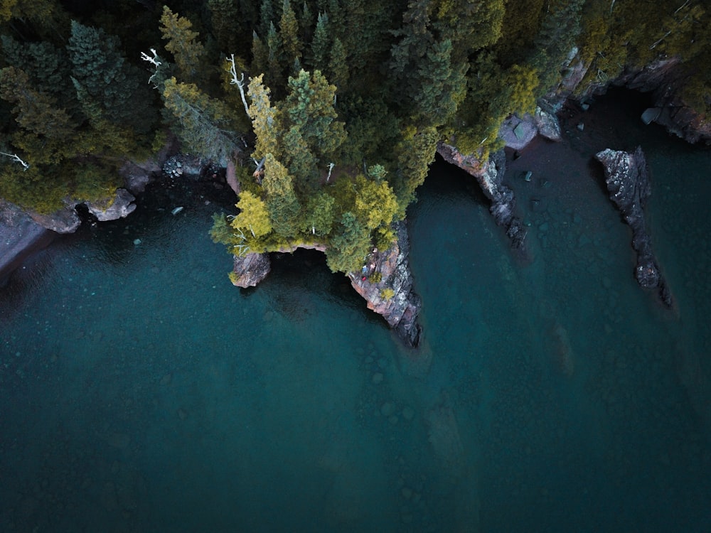 Grüne und braune Insel mitten im Meer