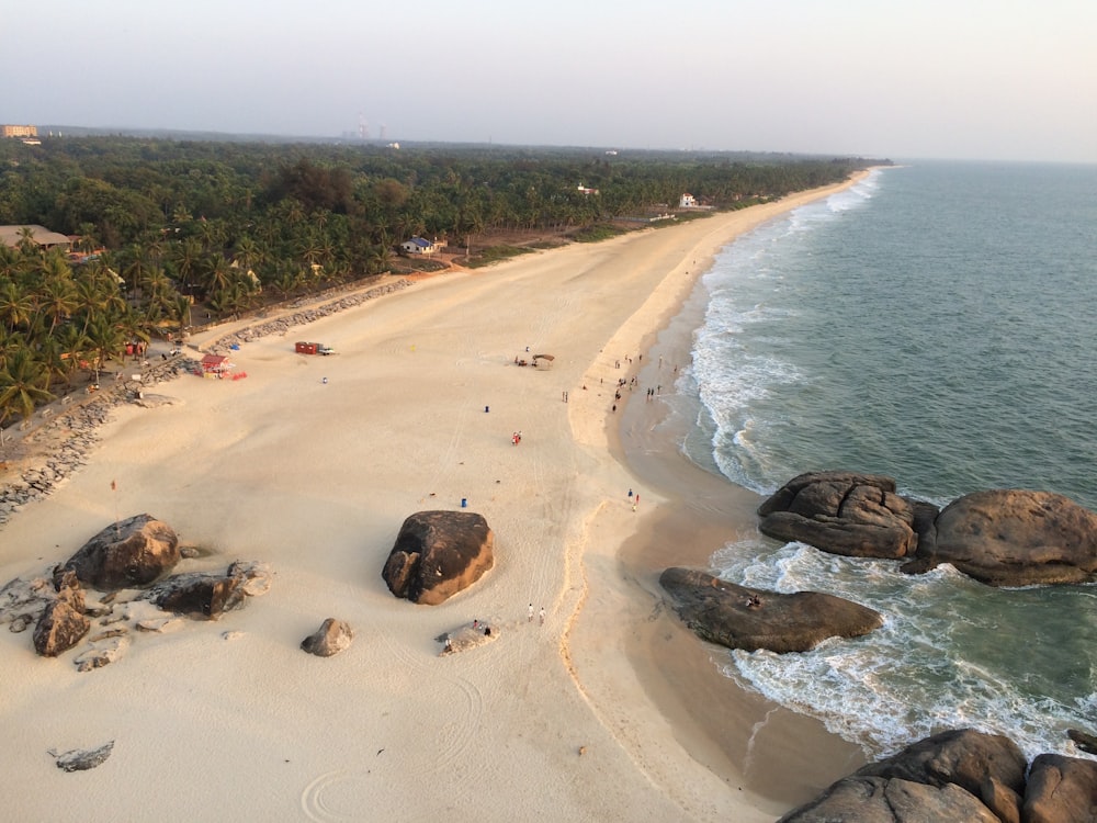 brown sand beach with green trees and brown rocks