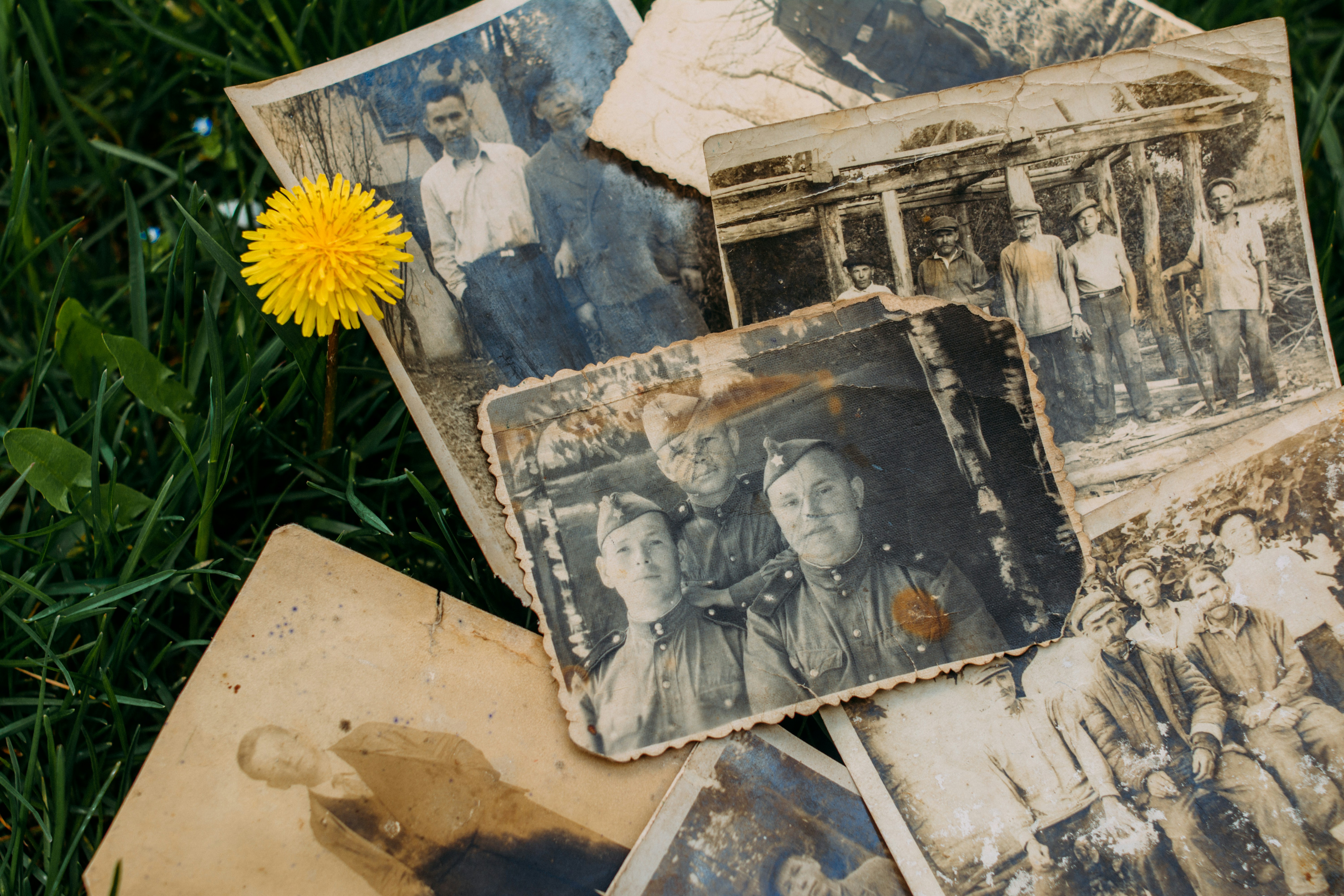When Photos Disappear Forever: Why Keeping Images Only on Your Devices Is a Gamble You'll Regret