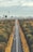 cars on road between trees during daytime
