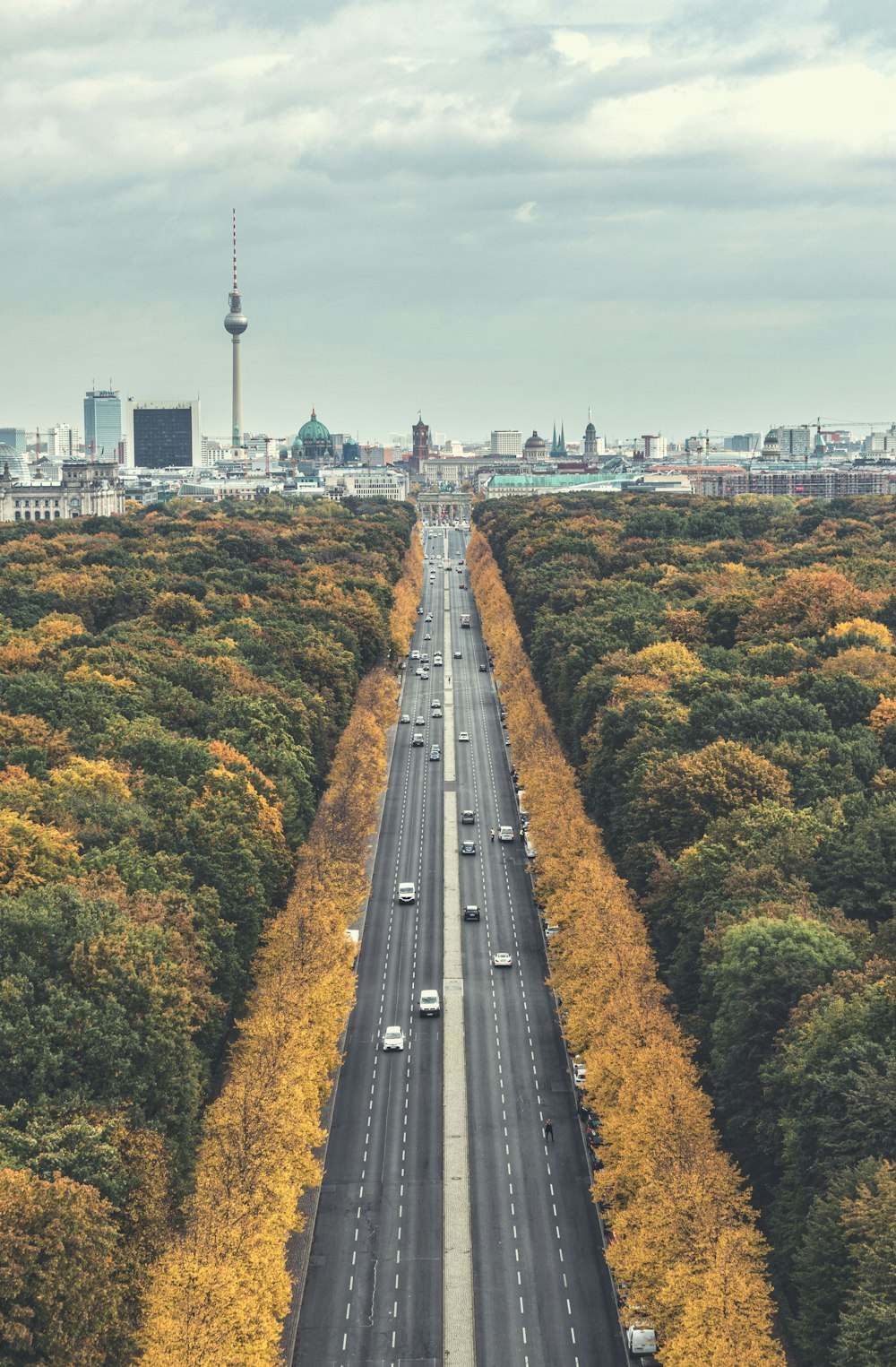 Auto sulla strada tra gli alberi durante il giorno