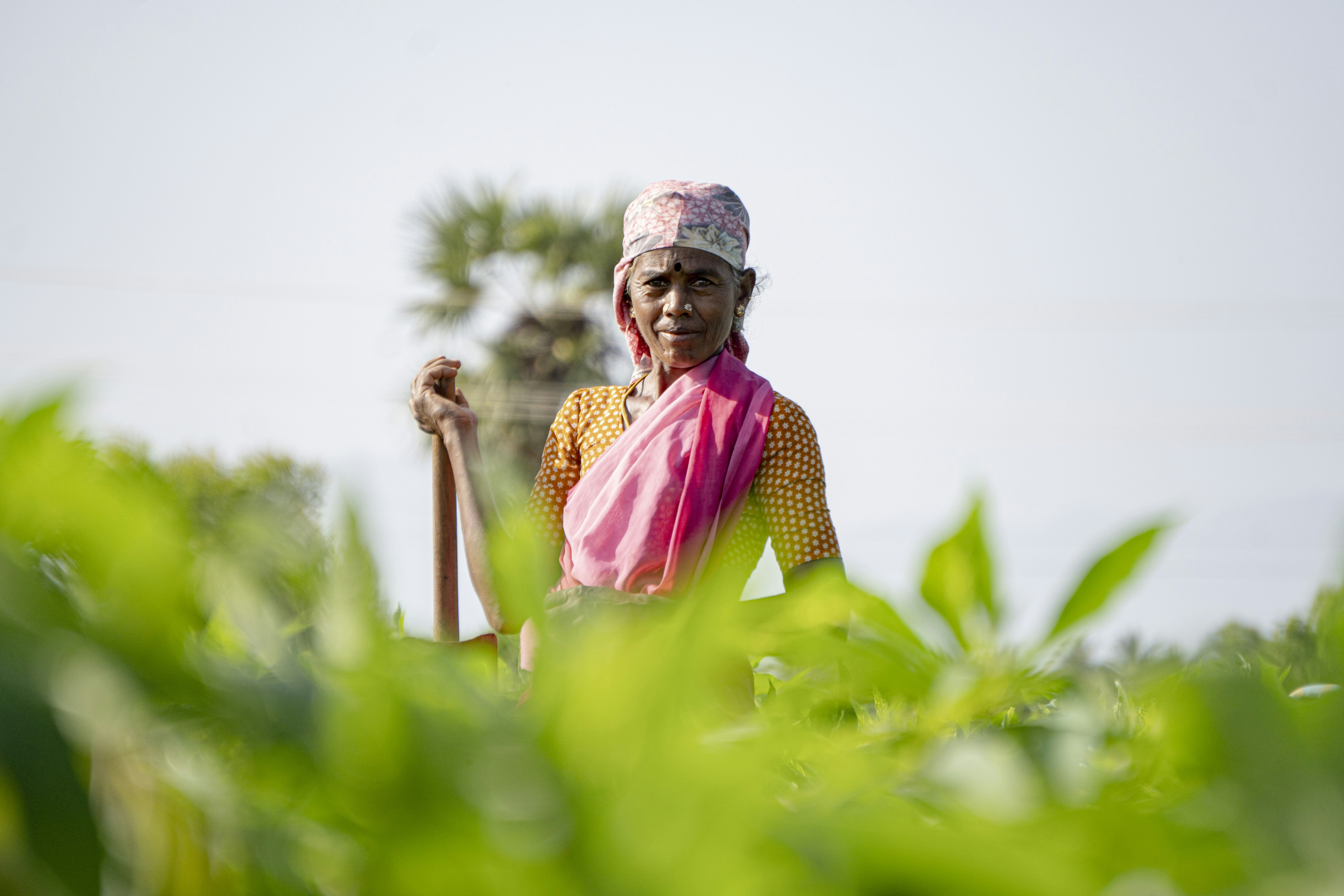 Photo by story_from_slowman