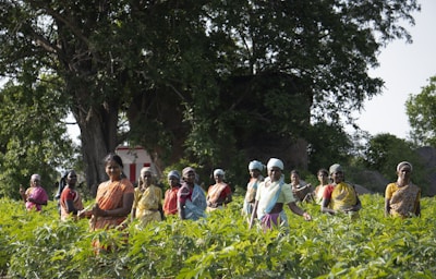 people walking on green grass field during daytime