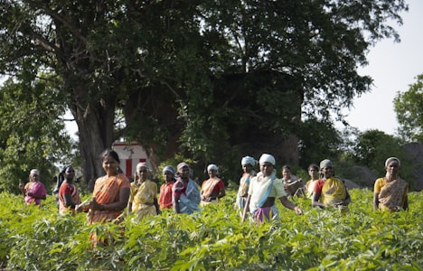 Tribal Village Development