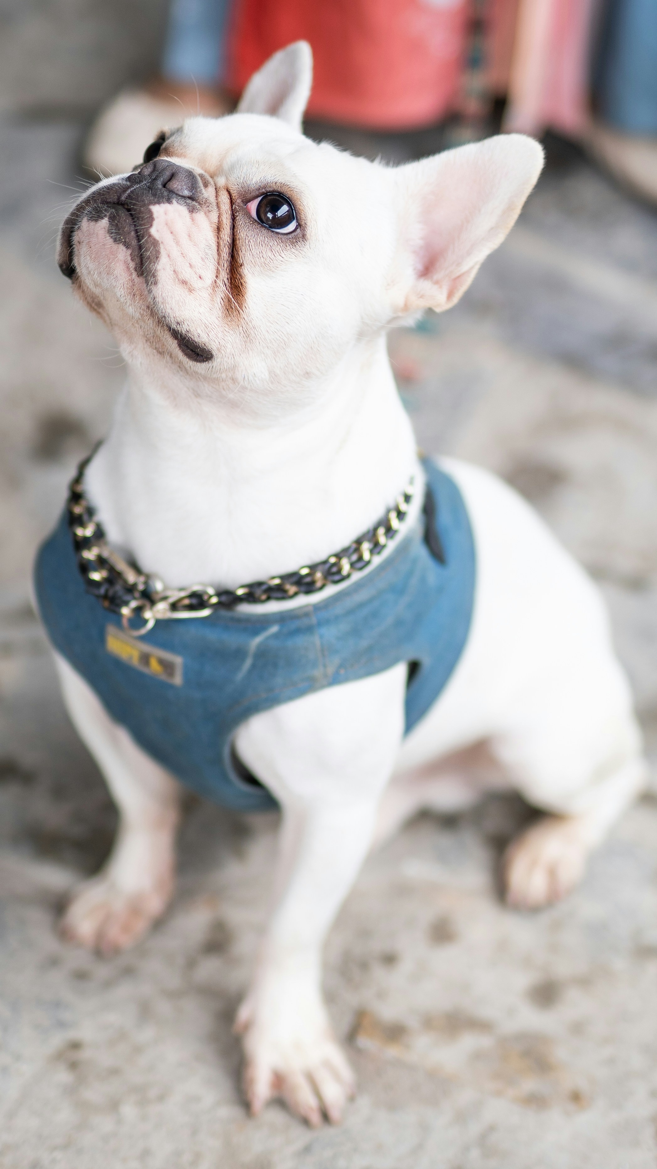 gray computer monitor