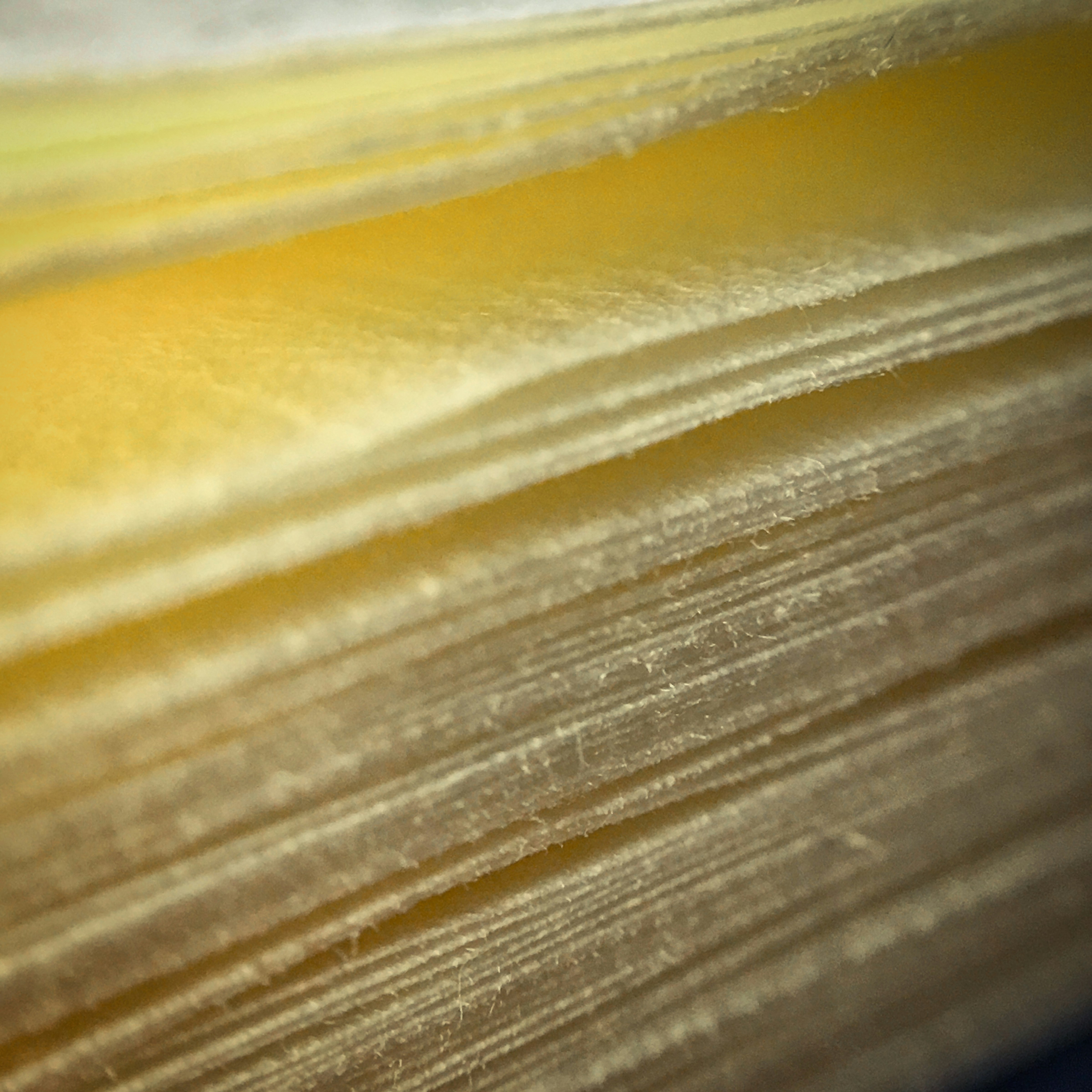 Photo by thomaskinto