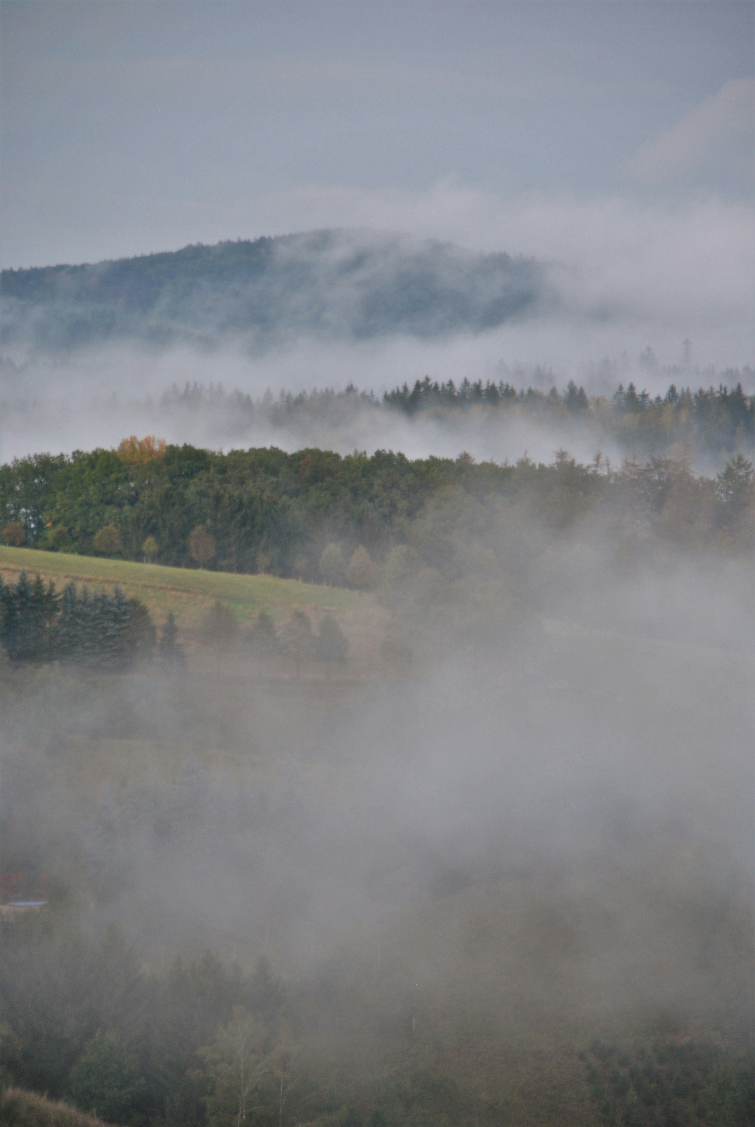 Photo by theodor_jacob