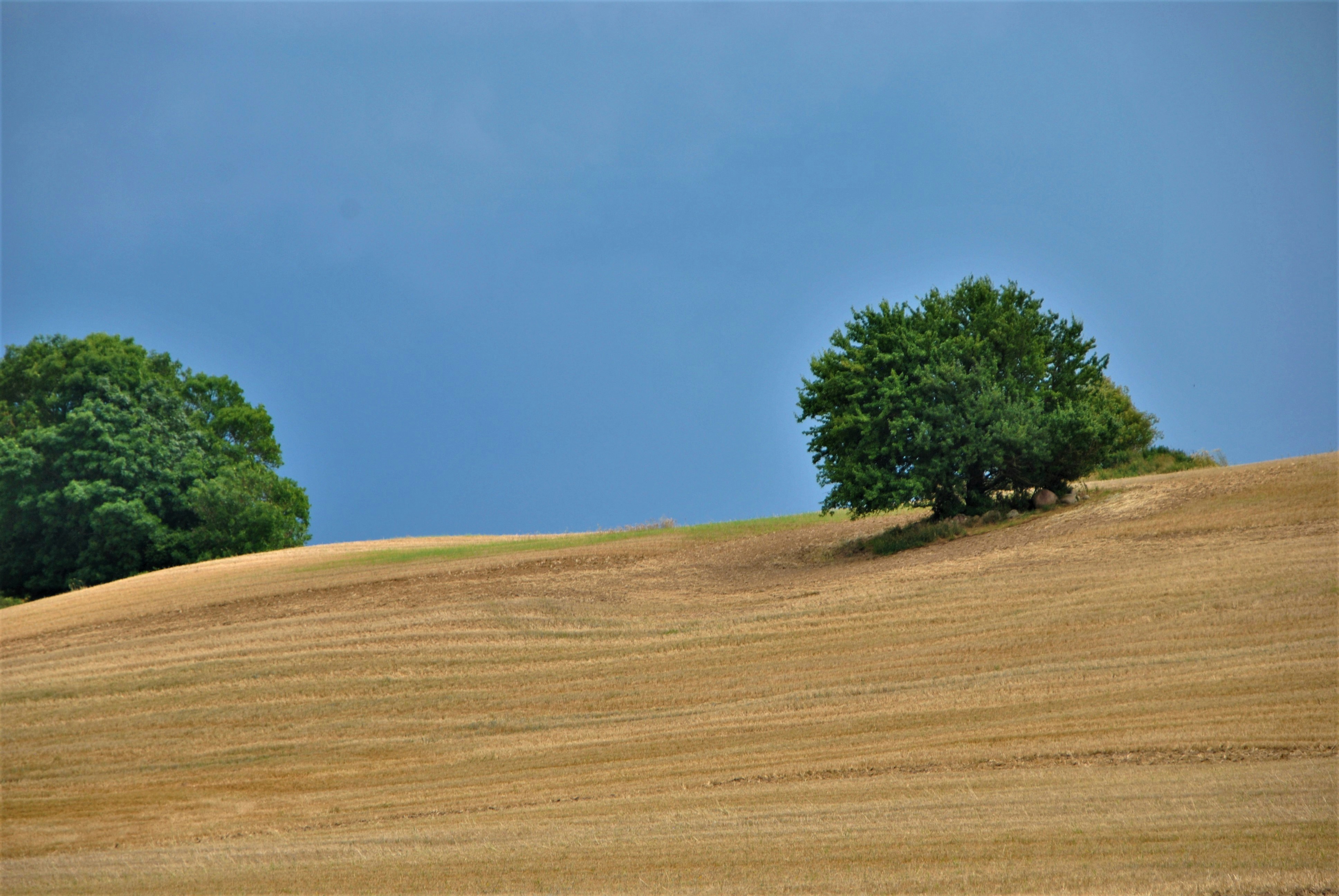 Photo by theodor_jacob