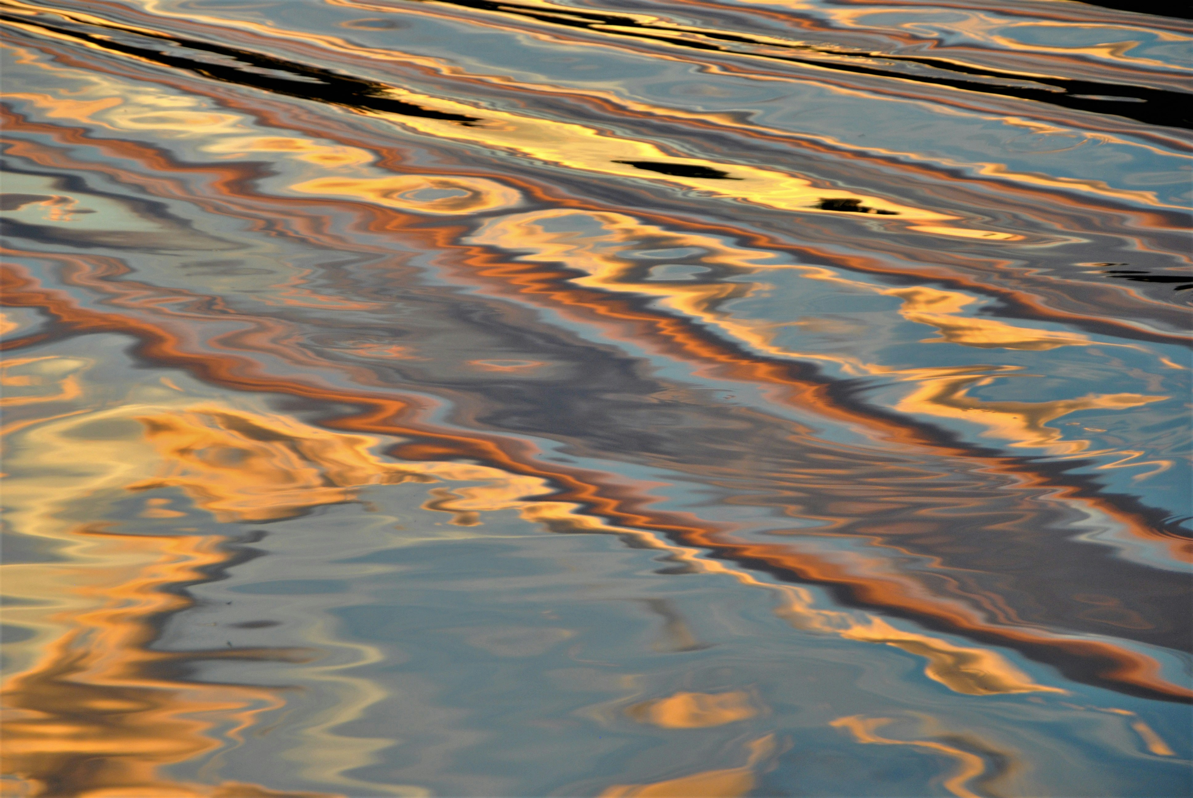 Photo by theodor_jacob