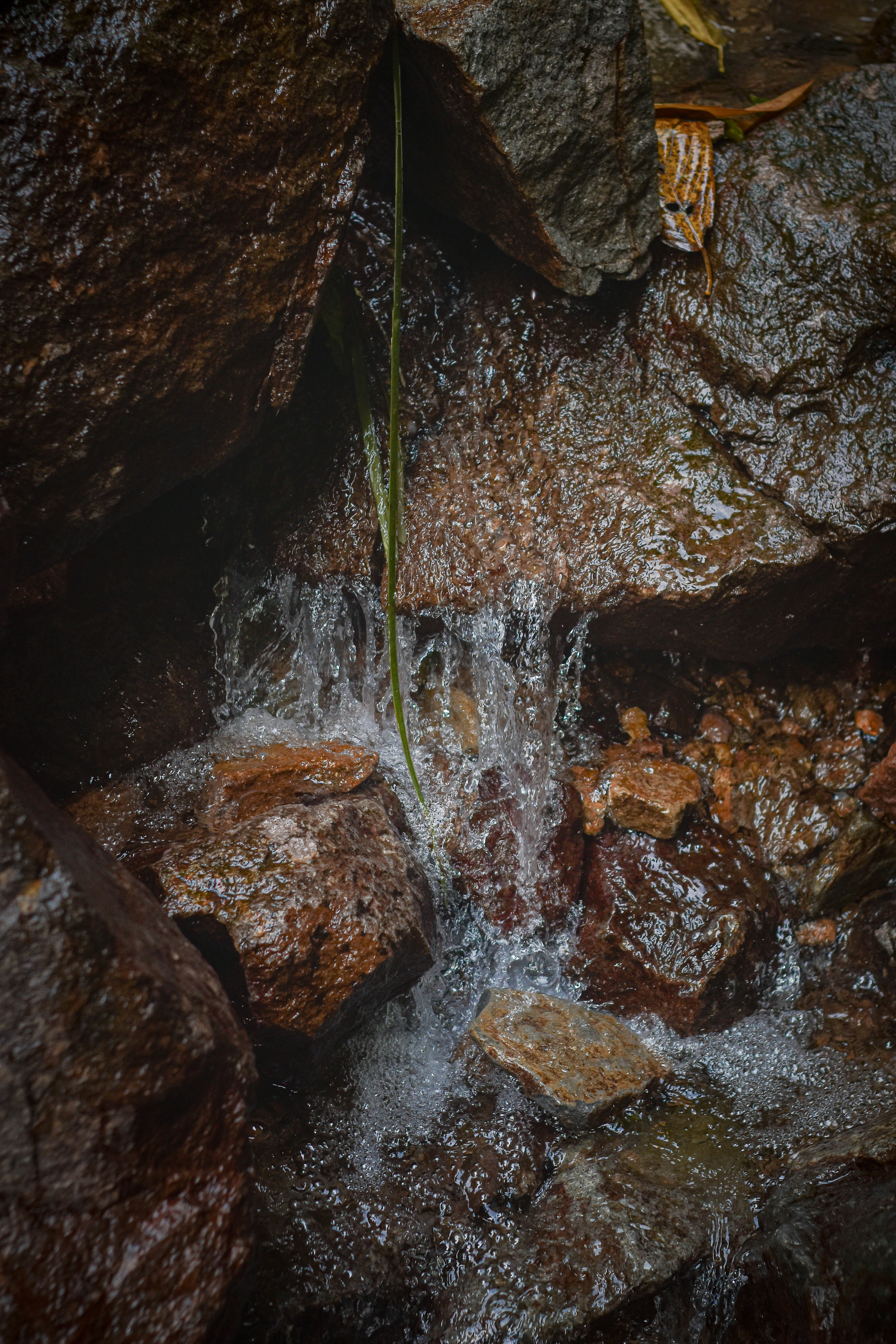 Photo by agusprasetyow