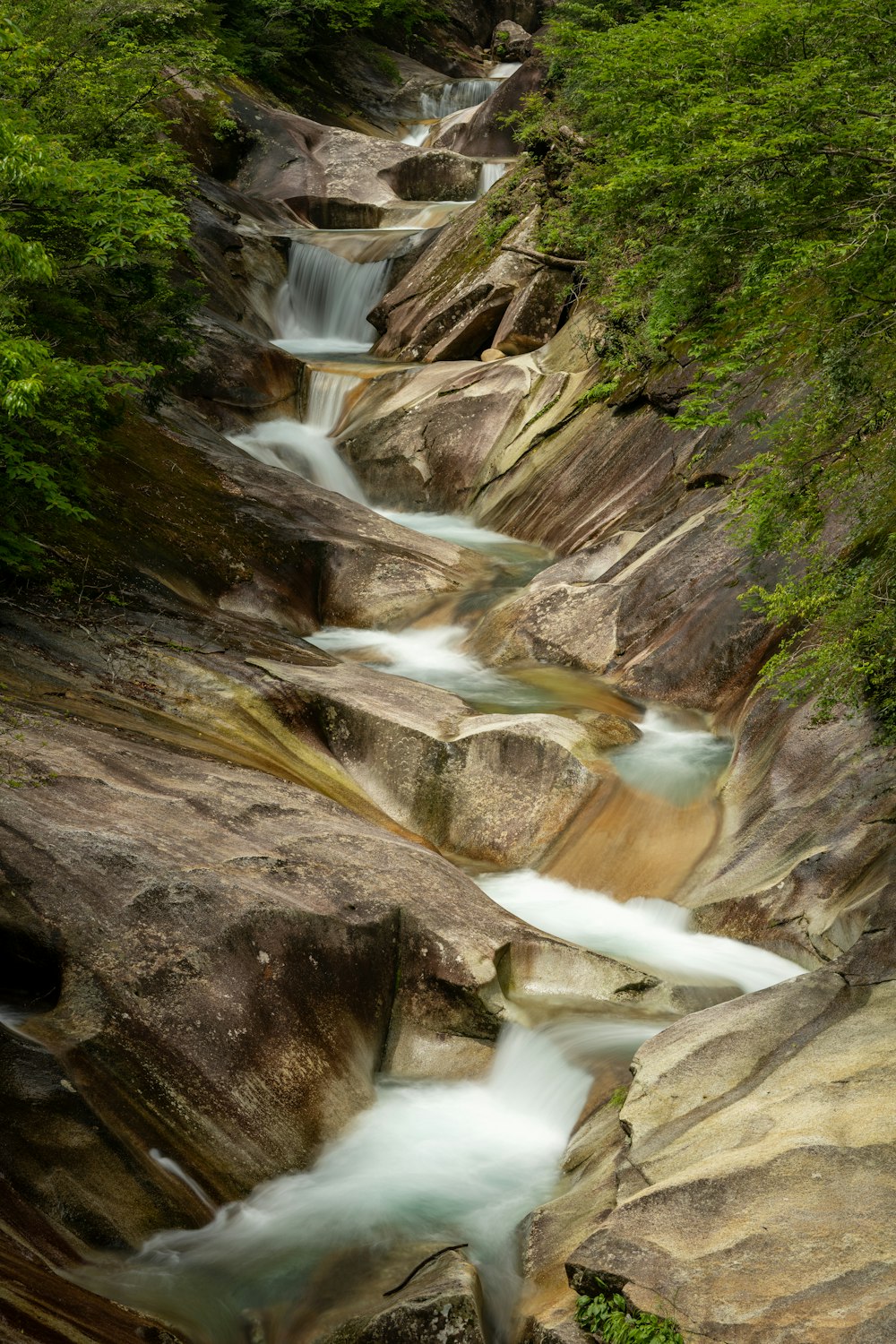 water falls in the middle of green trees