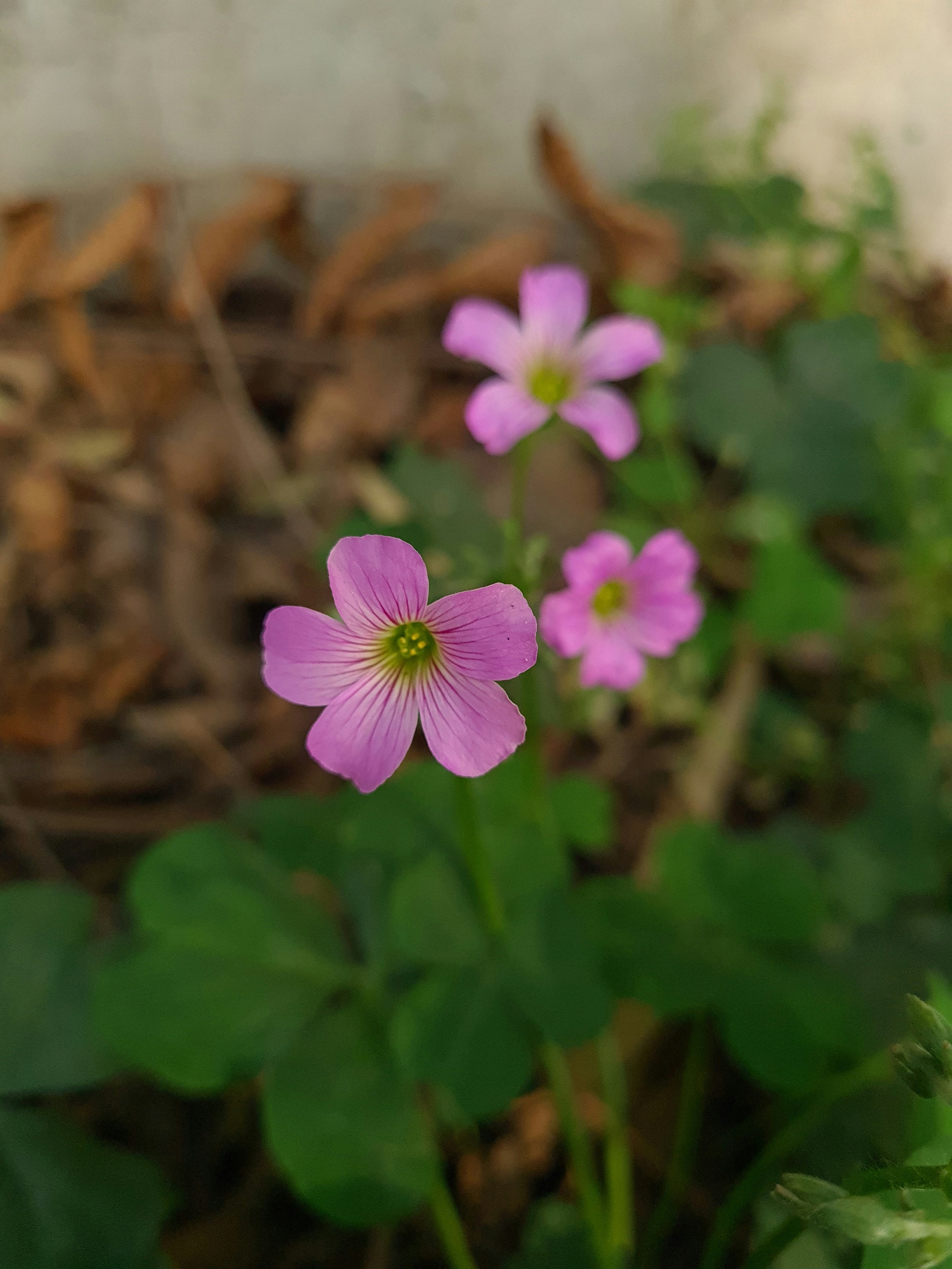 Photo by abhishekdabur