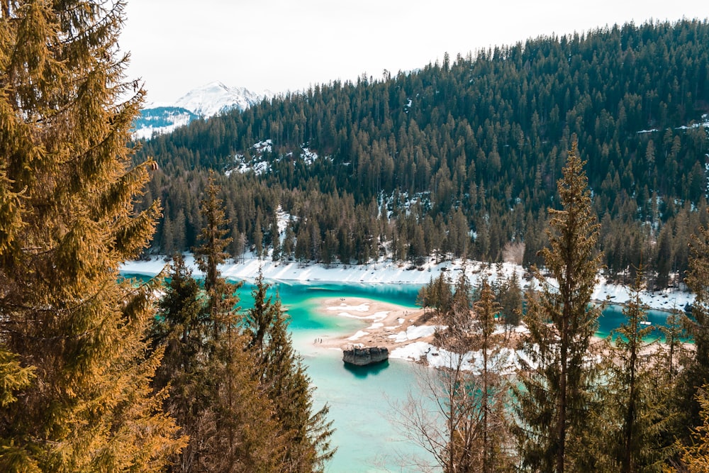 green lake surrounded by trees during daytime