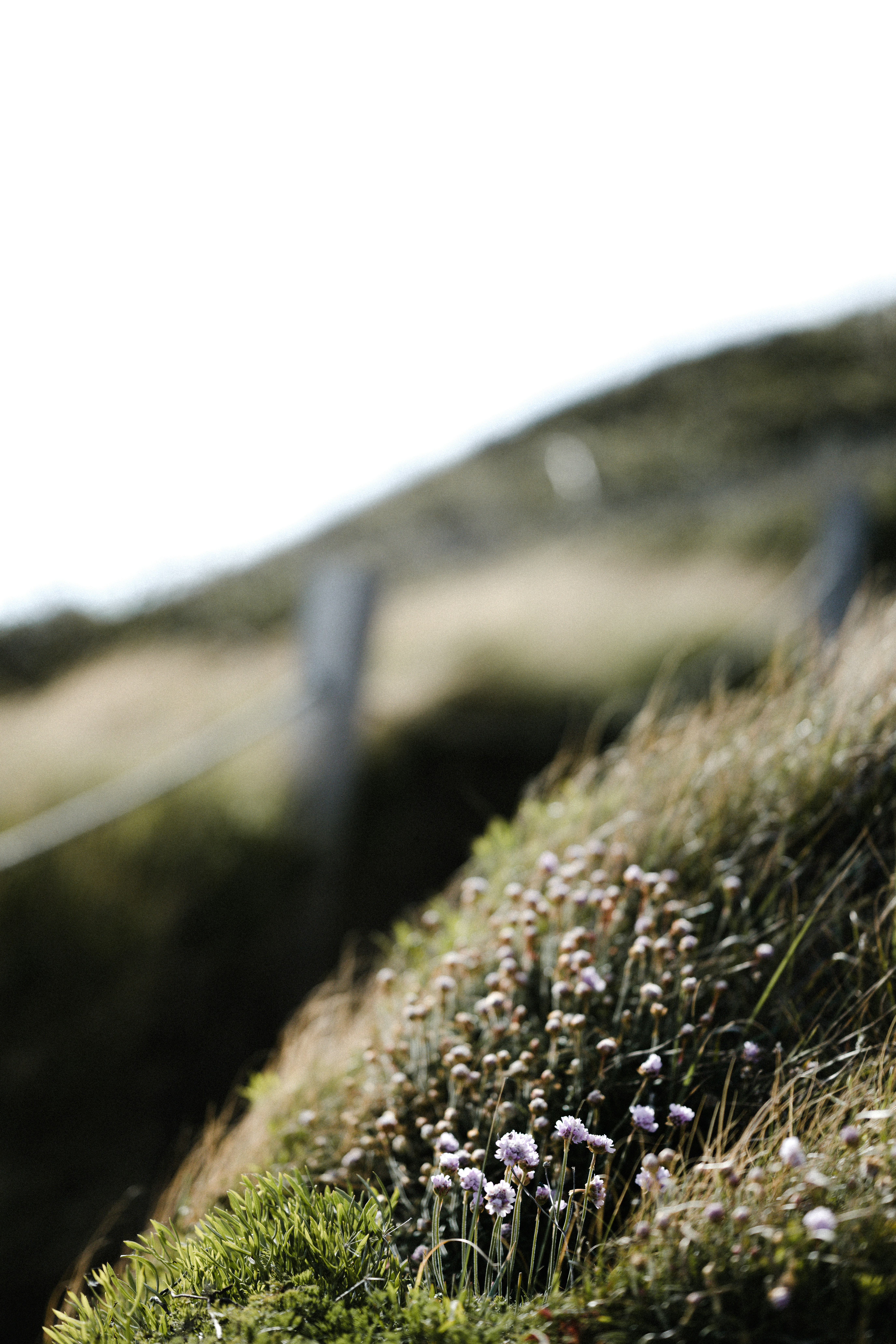 Photo by anniespratt