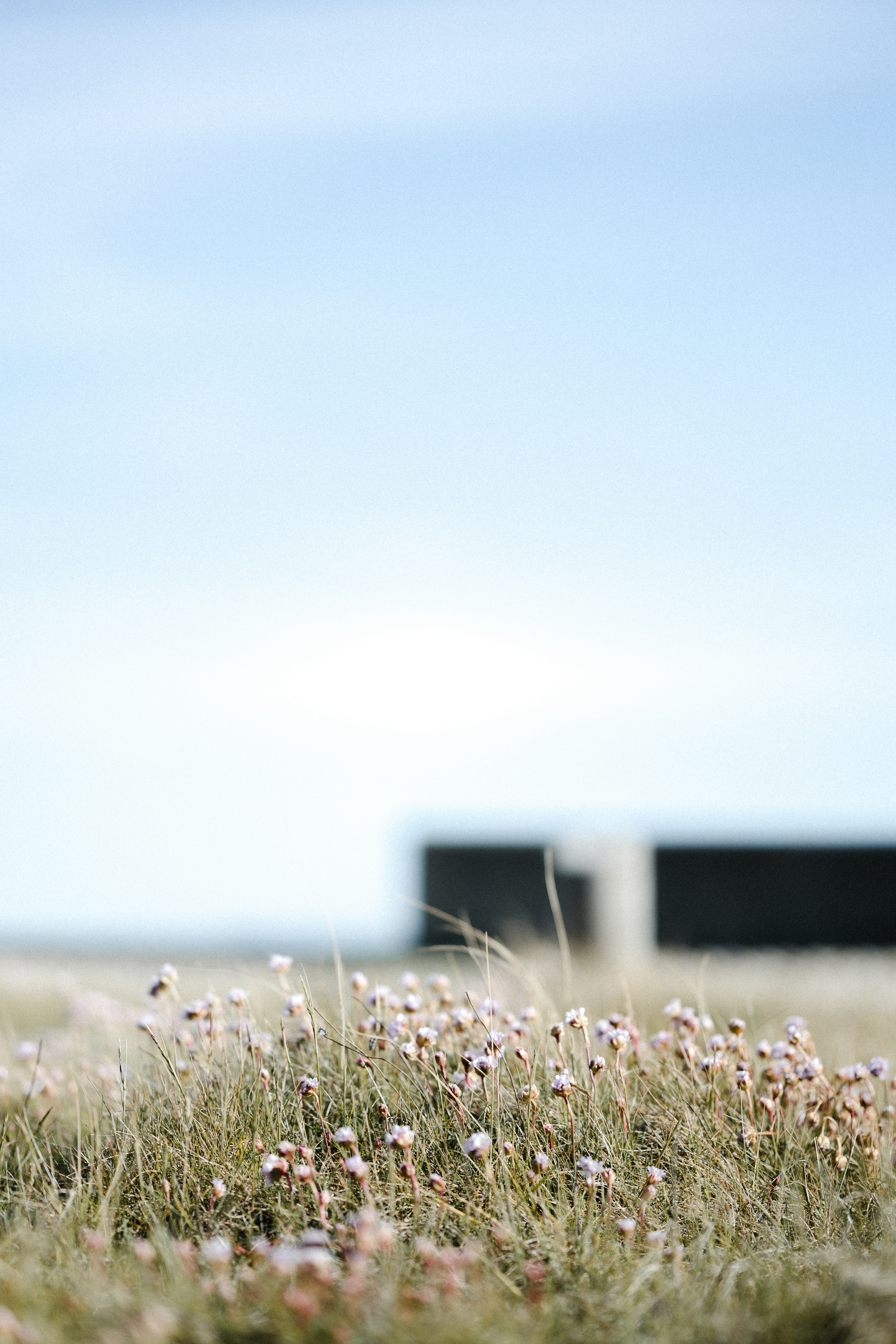 Photo by anniespratt