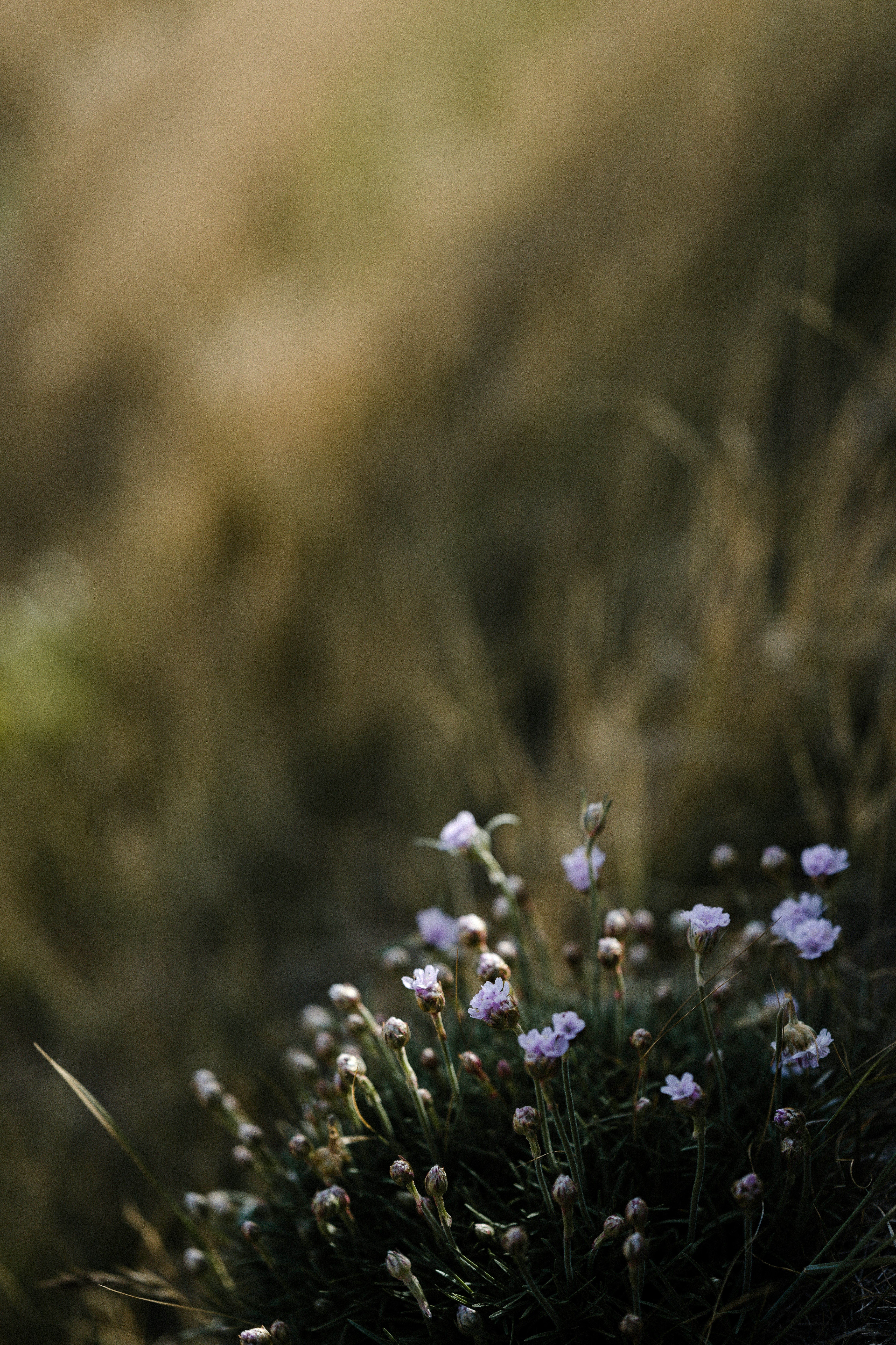 Photo by anniespratt