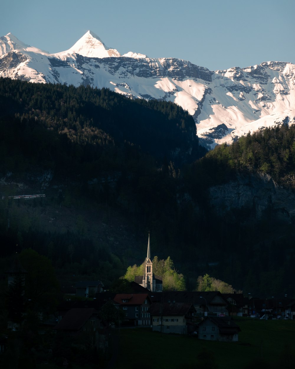 green trees on snow covered mountain during daytime