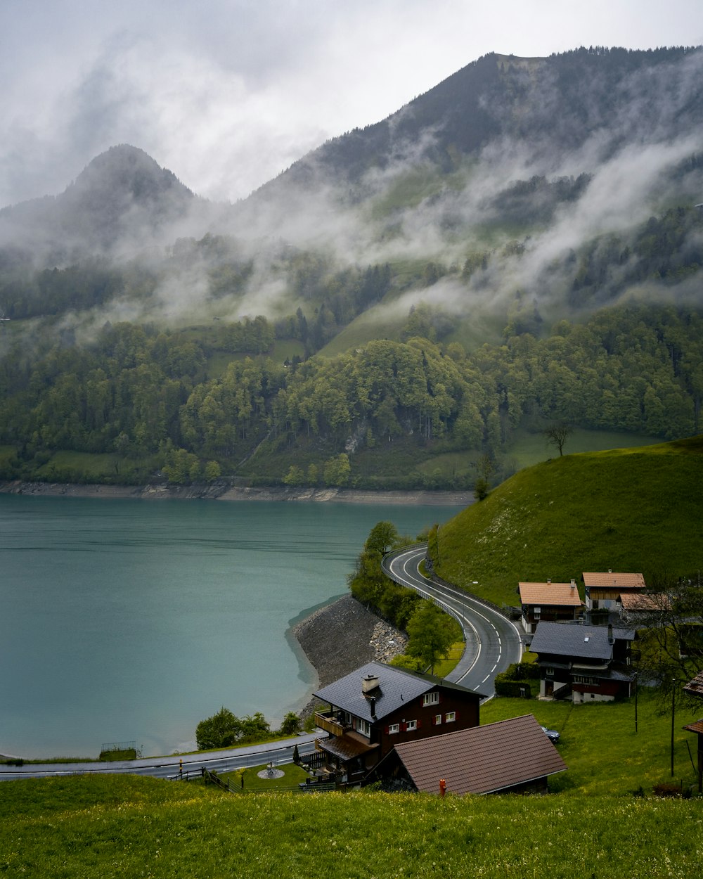 aerial view of green trees and mountain during daytime