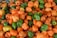 A large pile of habanero peppers in a mixture of vibrant orange and green colors, with a few yellow ones scattered throughout.