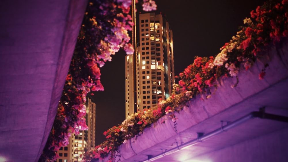 purple and black high rise building during nighttime